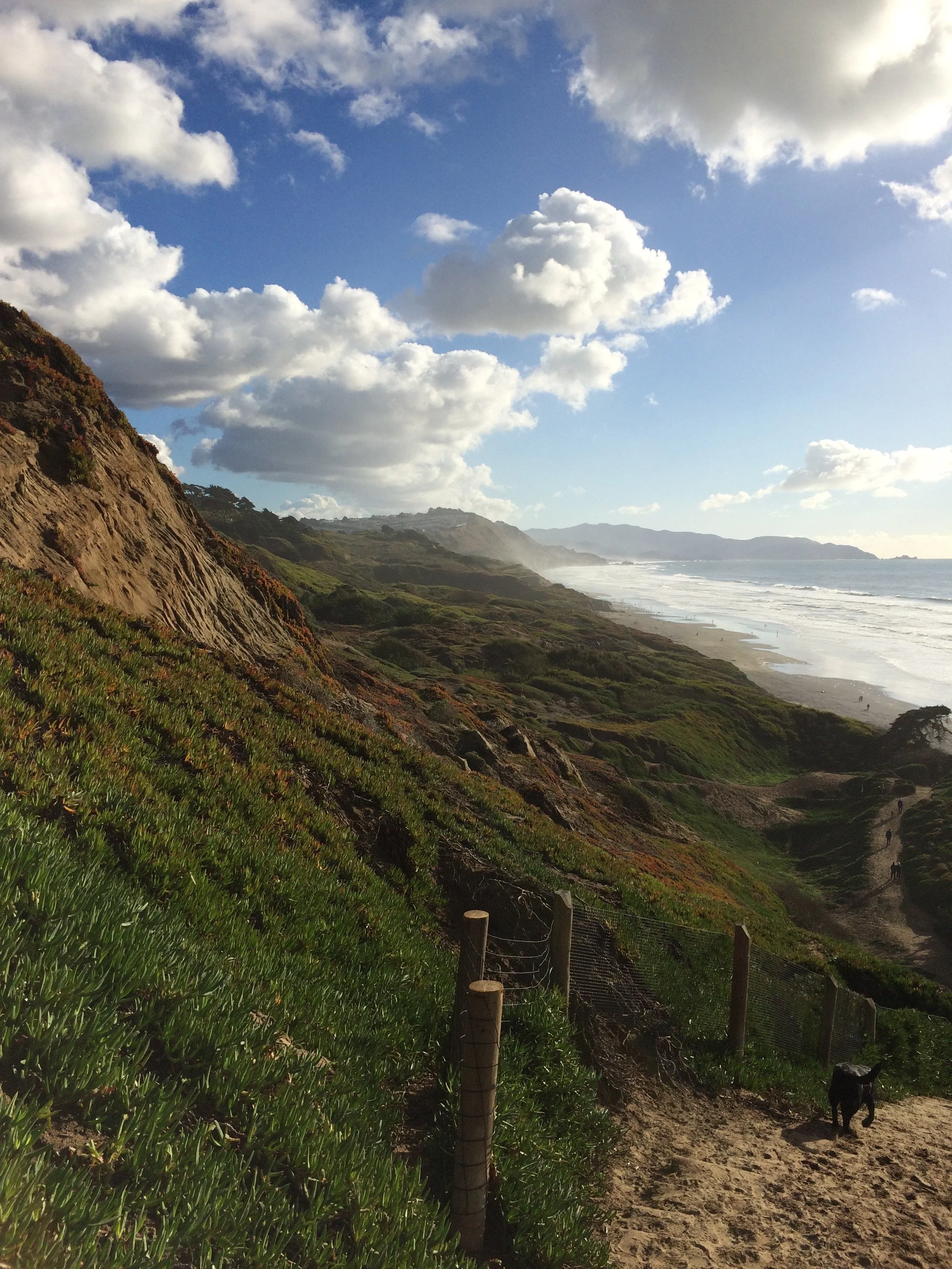 elashyu_photography_sanfrancisco_006.jpg
