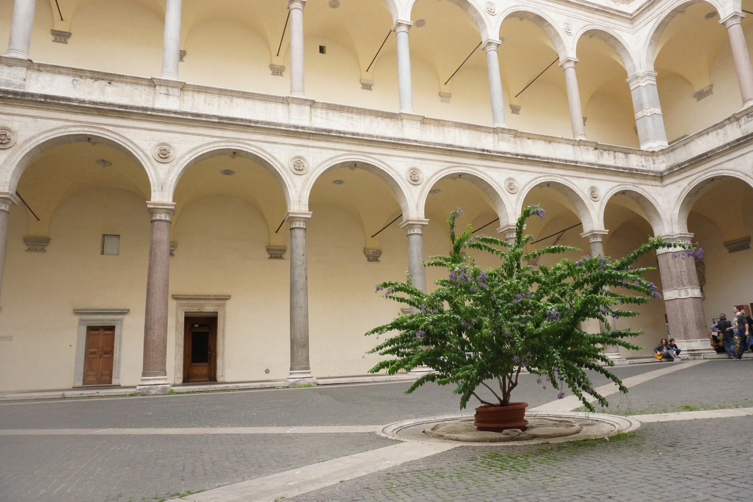 A courtyard with a central potted plant with purple flowers and green leaves, surrounded by arches and columns of a historic cream-colored building, with a small group of people sitting and standing.