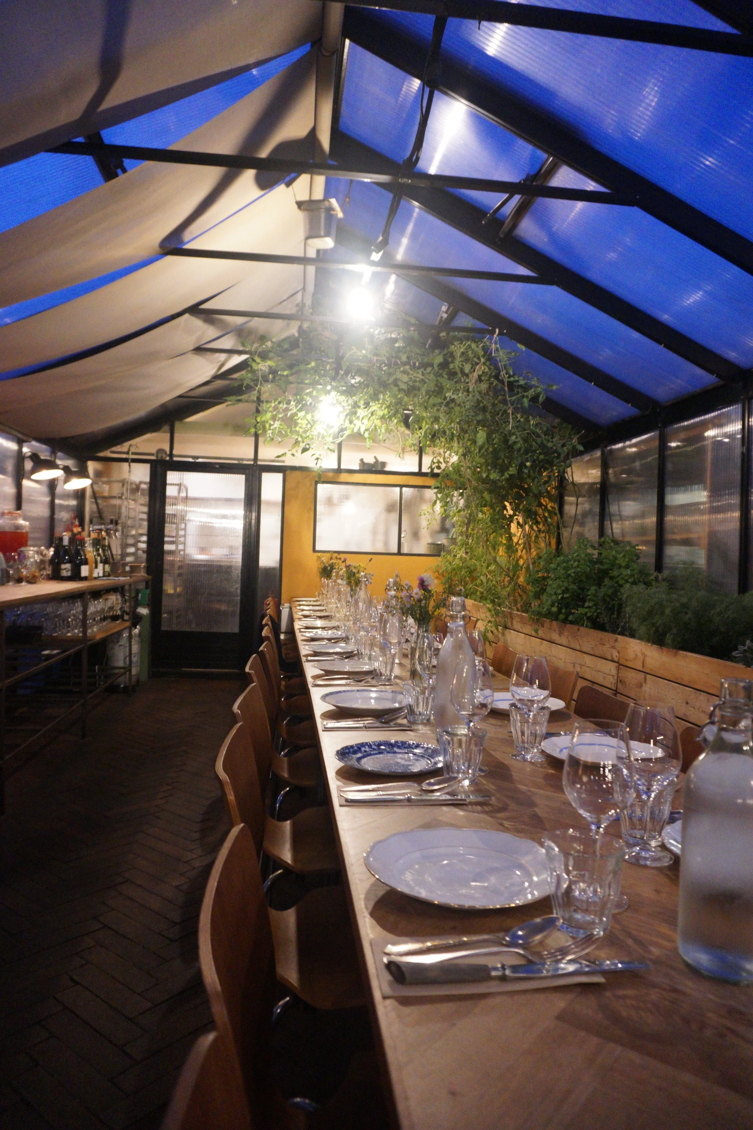 Dining table set with plates, glasses, and cutlery inside a greenhouse-style restaurant with plants and string lights.