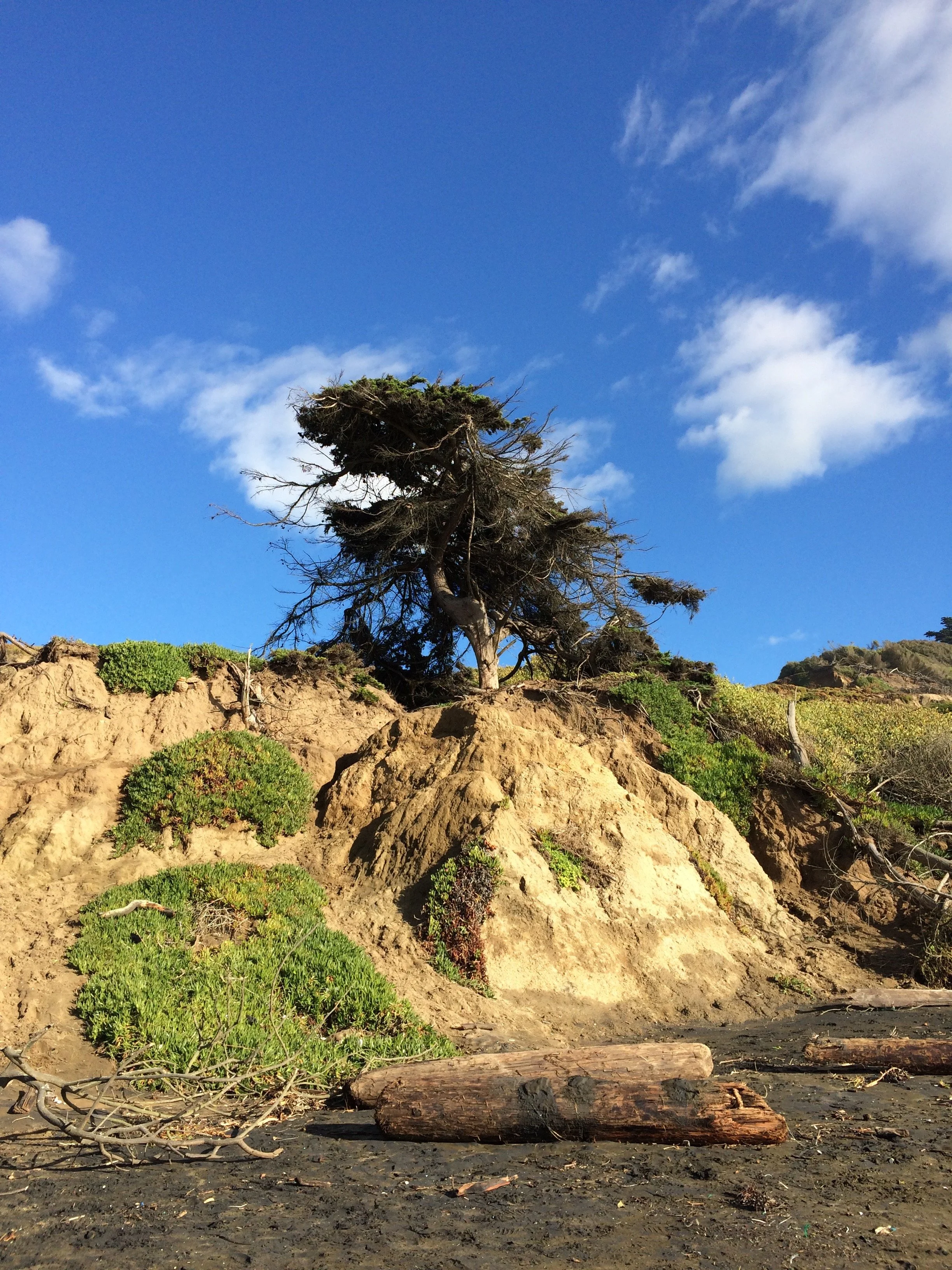 elashyu_photography_sanfrancisco_009.jpg