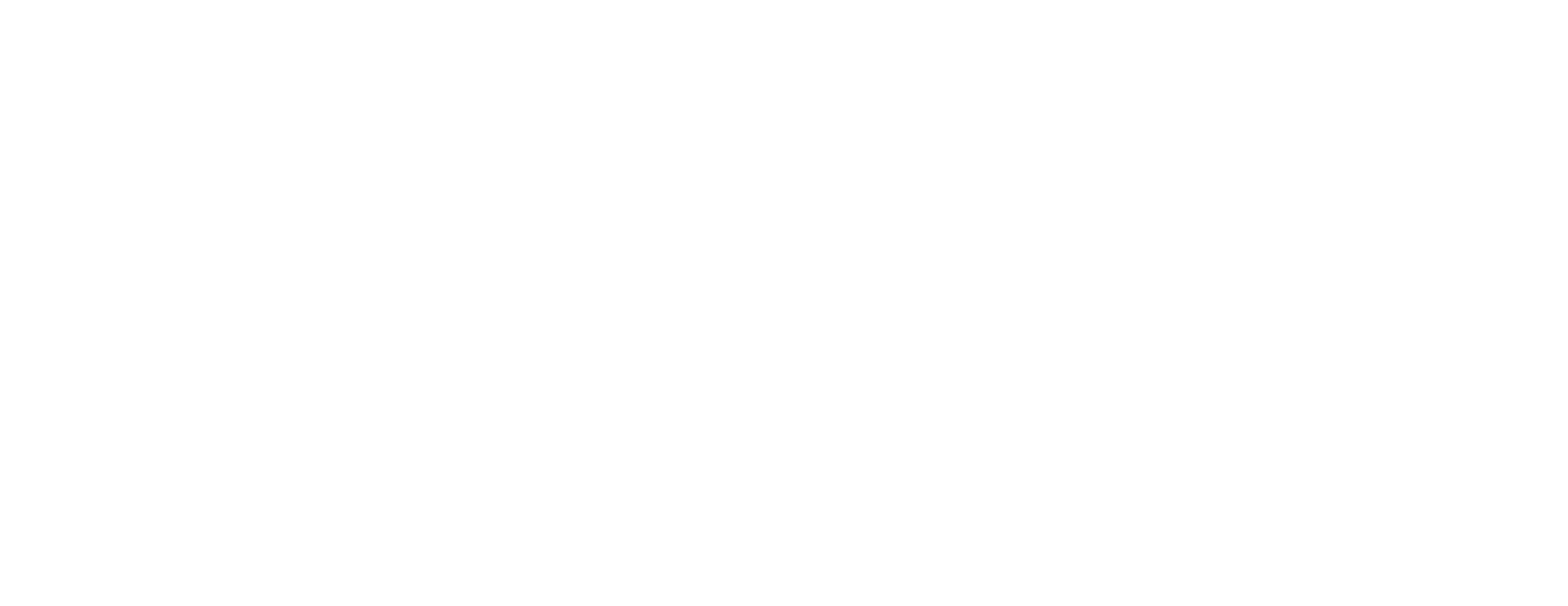 Dr. Ray's Auto Detail