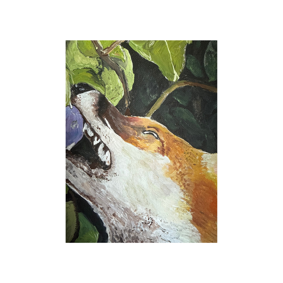 Progetto senza titolo (14).png