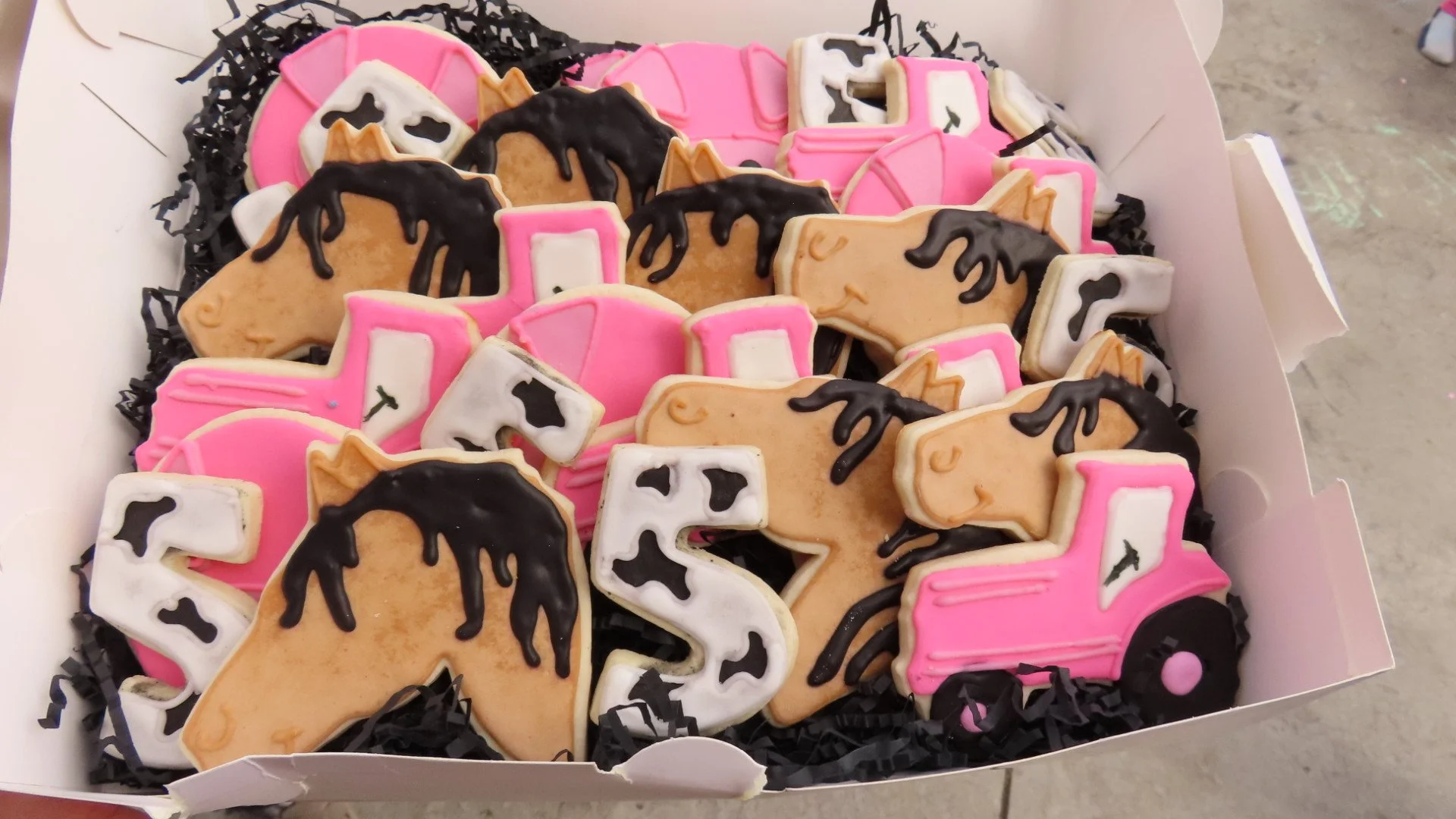 A box of decorated cookies shaped like horses, pink horses, white cows, and pink trucks, with black tissue paper cushioning the cookies inside a white box.