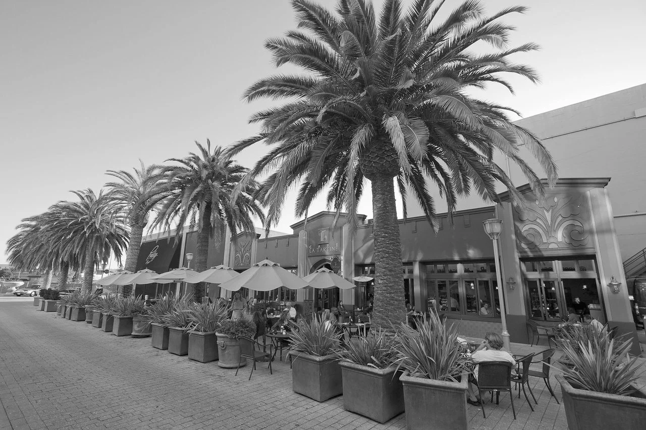 Outdoor seating area with umbrellas and chairs in front of a restaurant with palm trees.