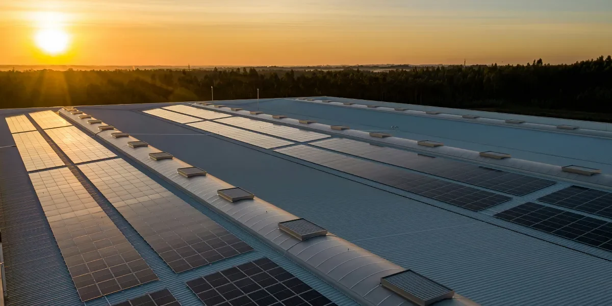Rooftop solar disposal, experience of Bertie Readhead