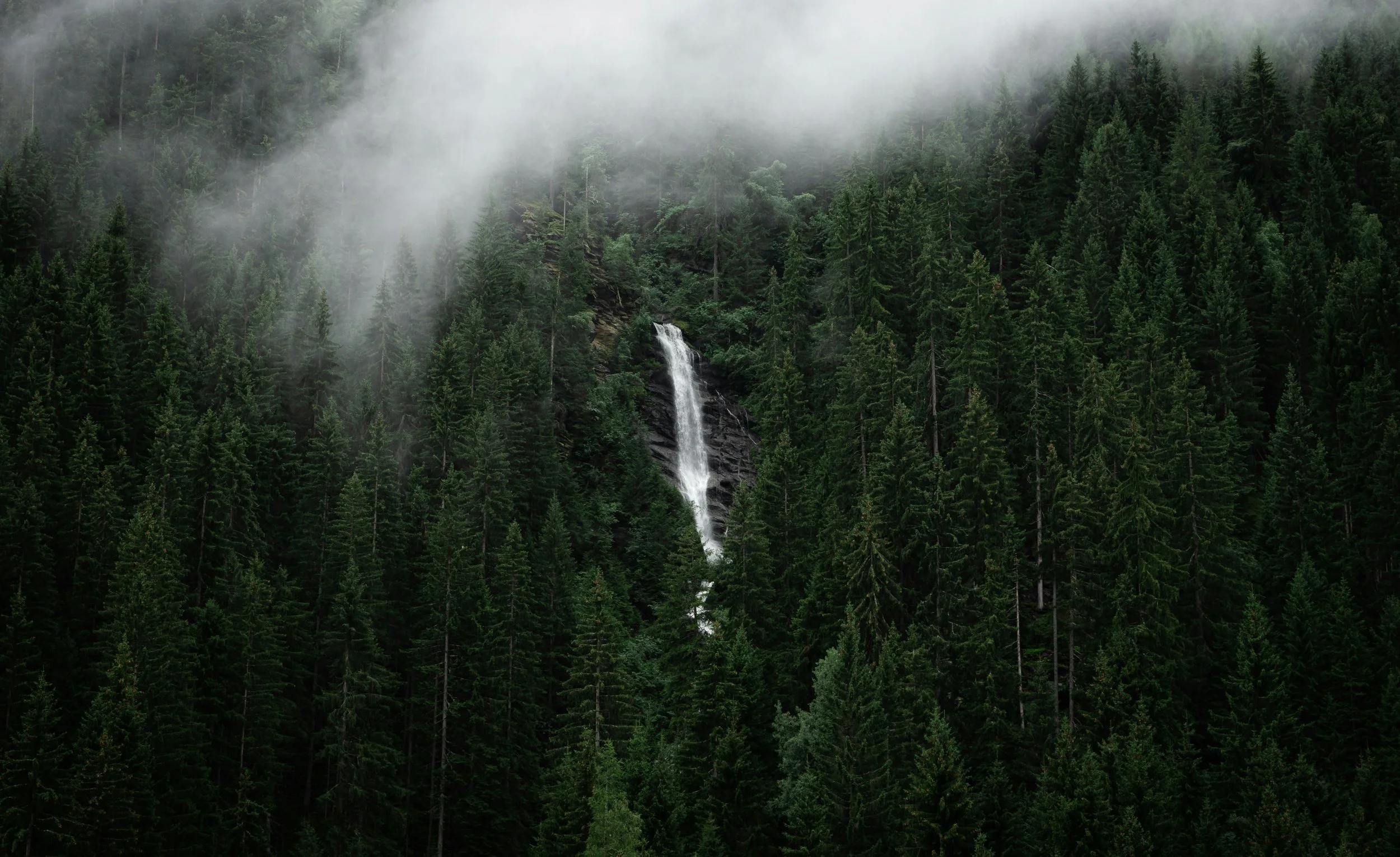 Waterfall flowing through forest landscape