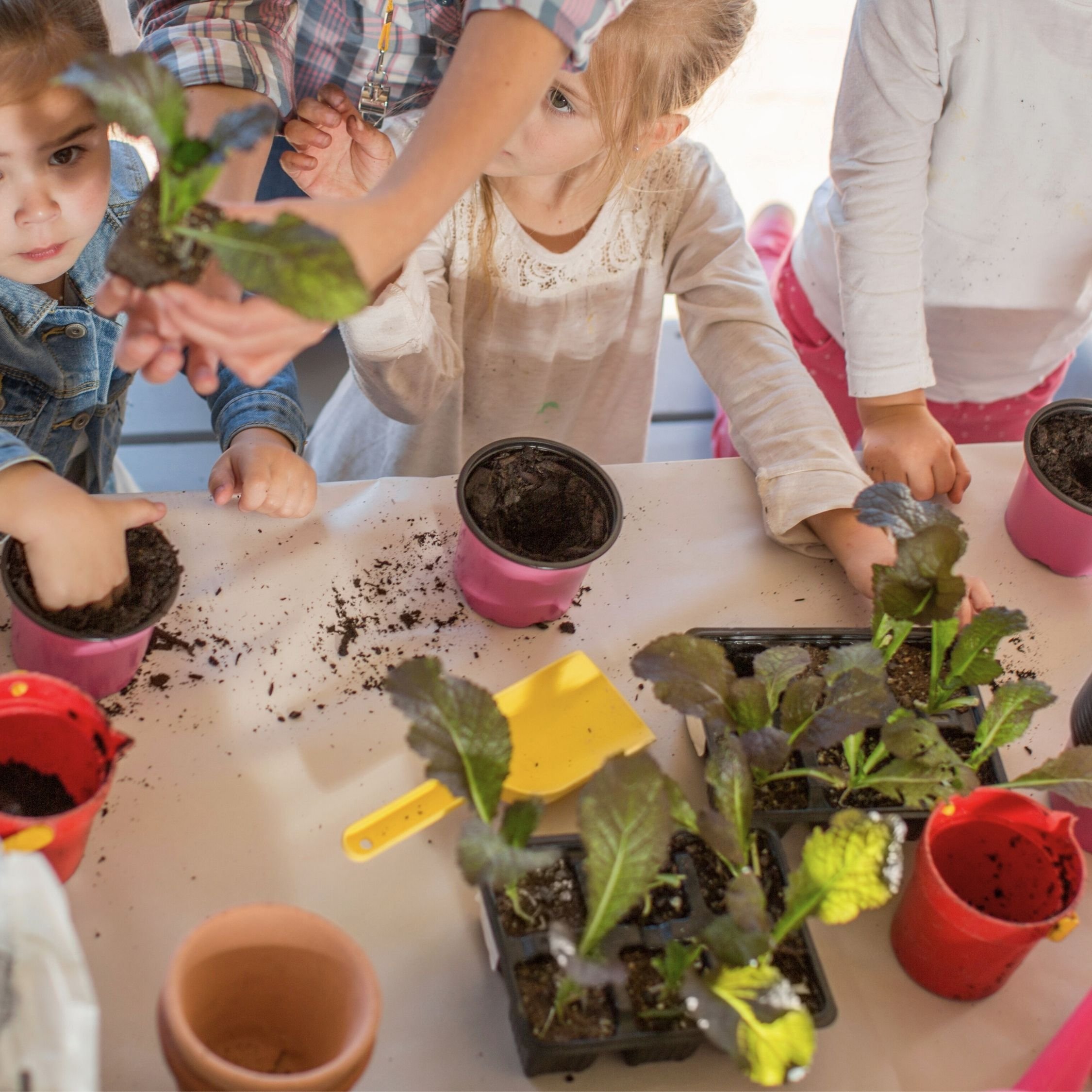 children-gardening-together-with-teacher.jpg