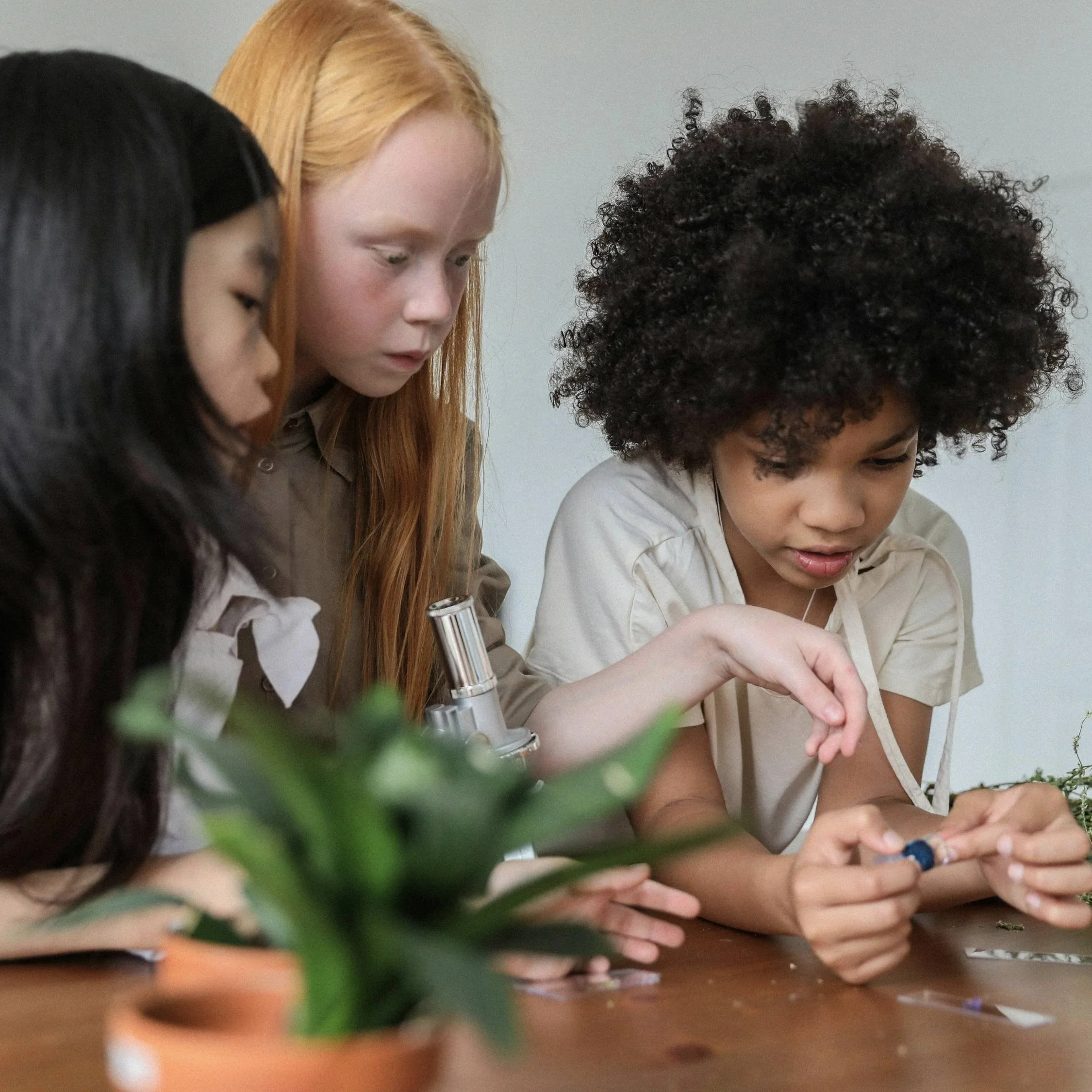 Students learning about plants in classroom.jpg