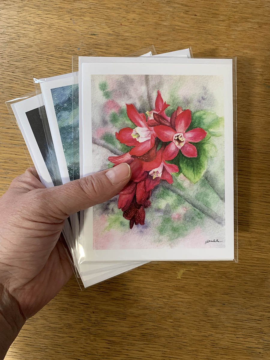 A2 Card 3-pack.jpg
