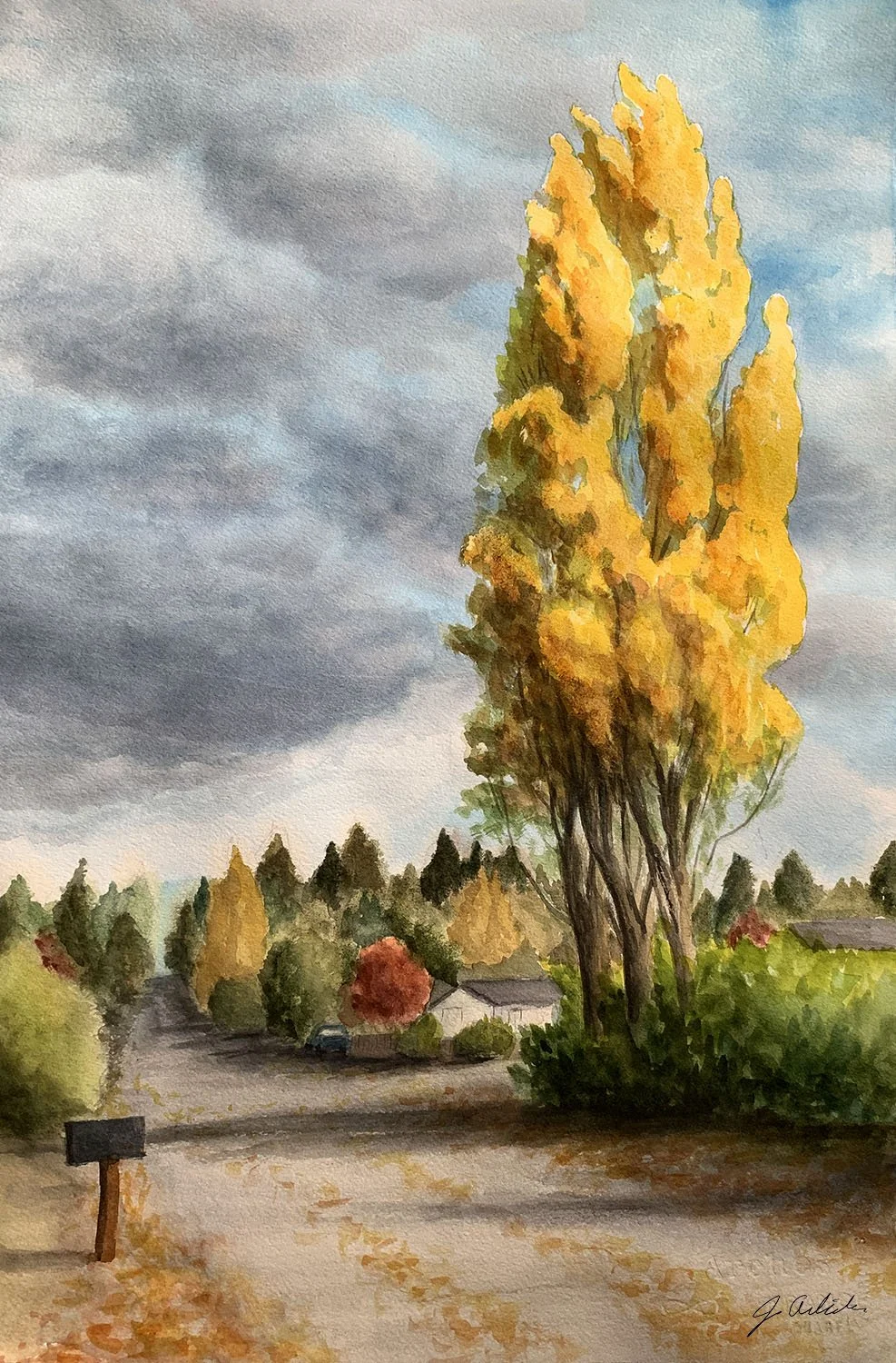 Watercolor painting of 3 large black poplar trees beside a road