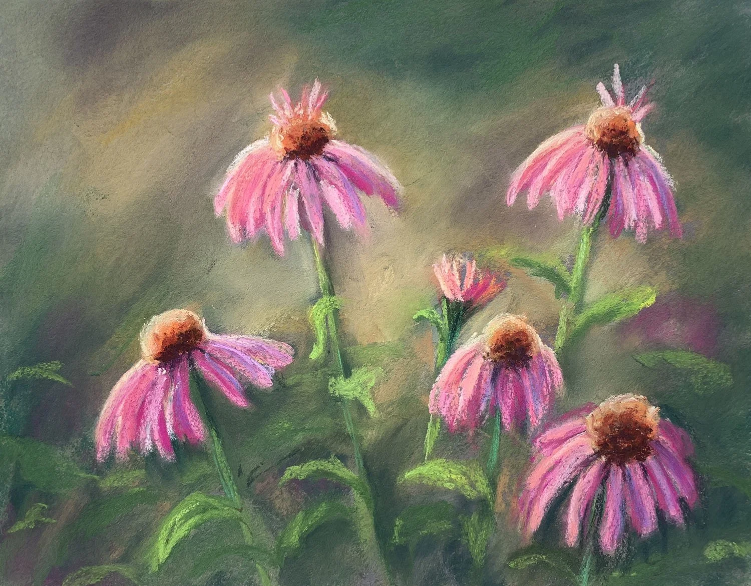Pastel painting of echinacea flowers
