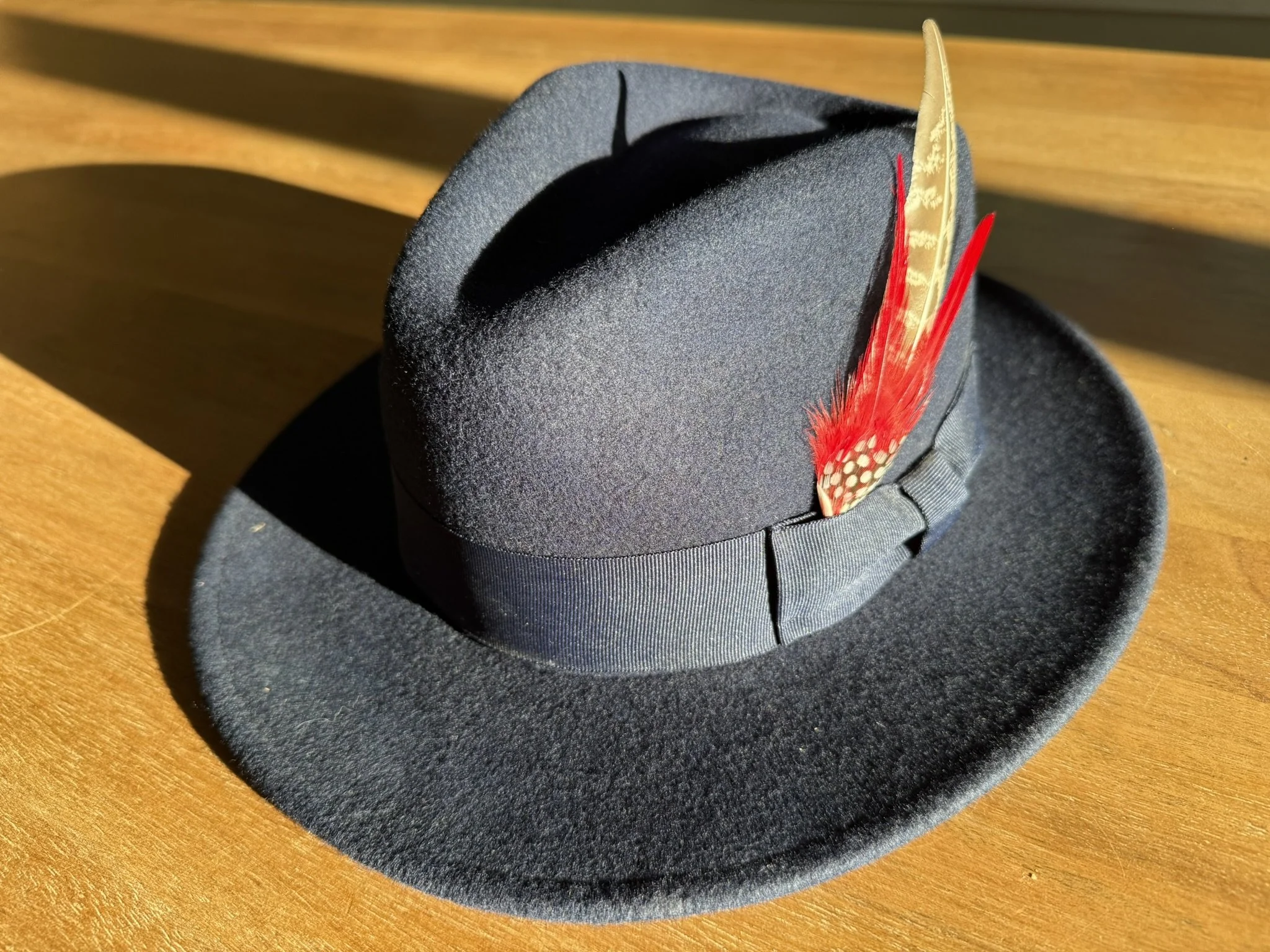 A black felt top hat with a wide brim, adorned with a red feather, resting on a wooden surface.