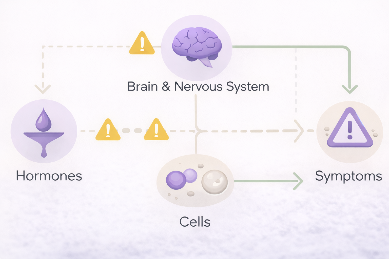 Diagram of the brain and nervous system, hormones, cells, and symptoms, with warning icons indicating concerns in each area.