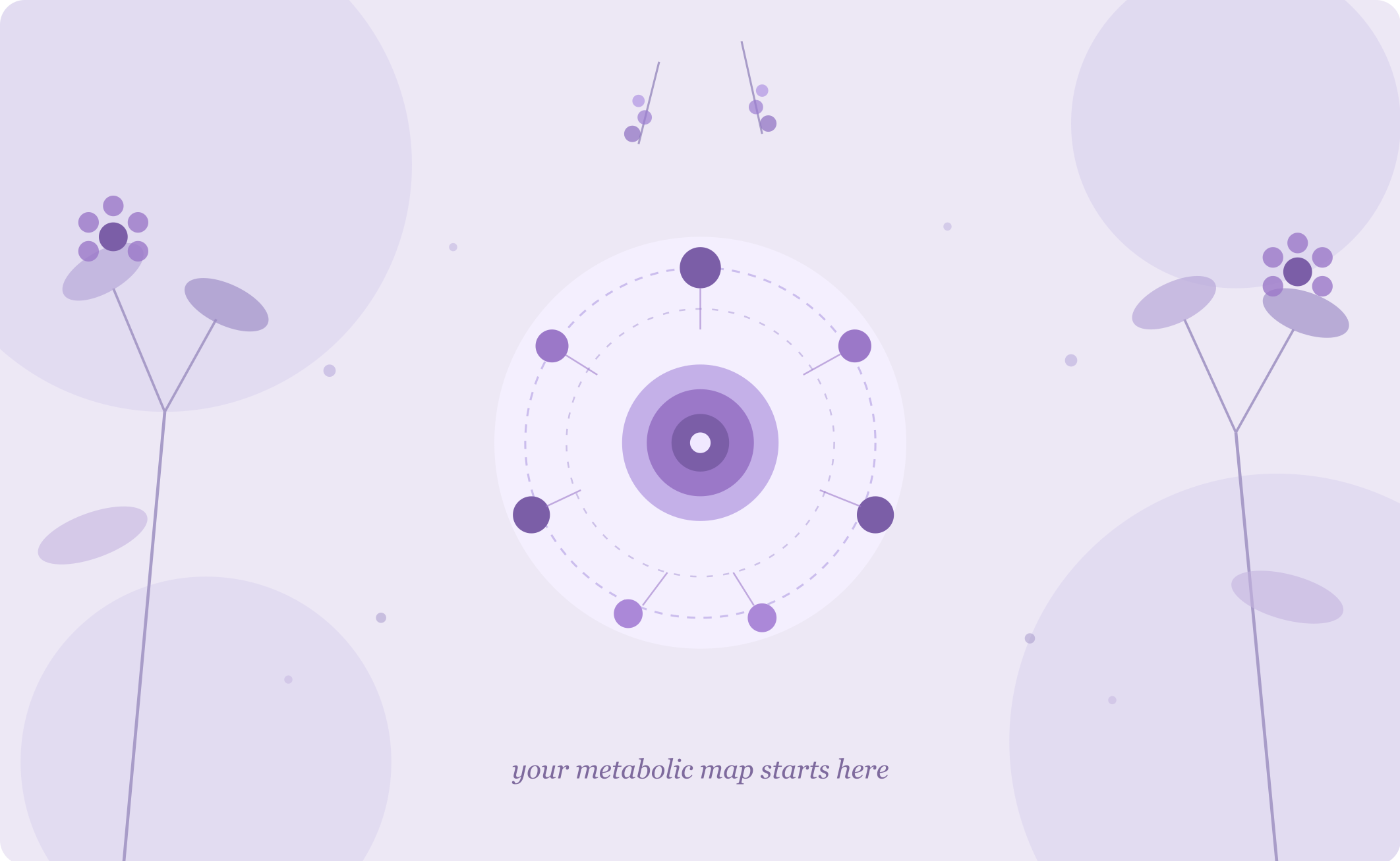 A digital interface with a central circular chart and surrounding elements in shades of purple, resembling a metabolic map, with the text "your metabolic map starts here" at the bottom. Personalized naturopathic care for energy and hormone balance.