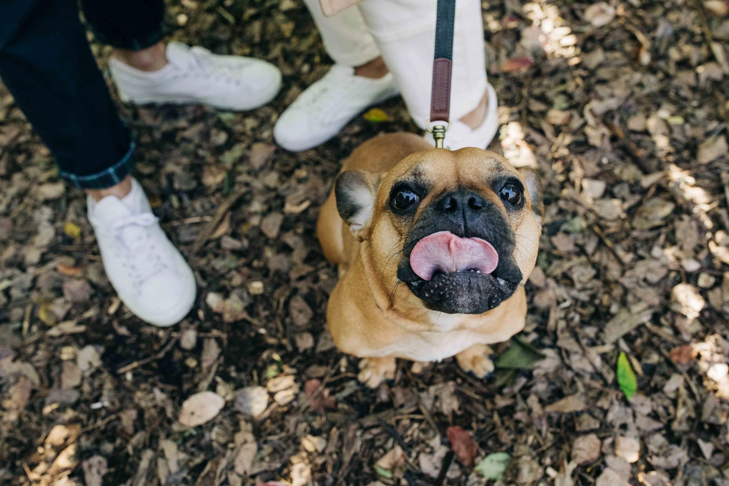 JASON AND REI-83.jpg