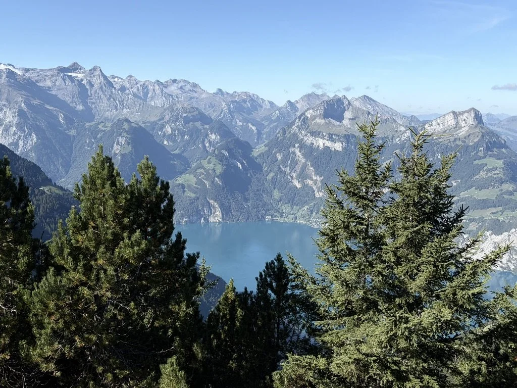 939BB4BA-E8A5-444D-AA6F-647267B42867_1_105_c.jpeg