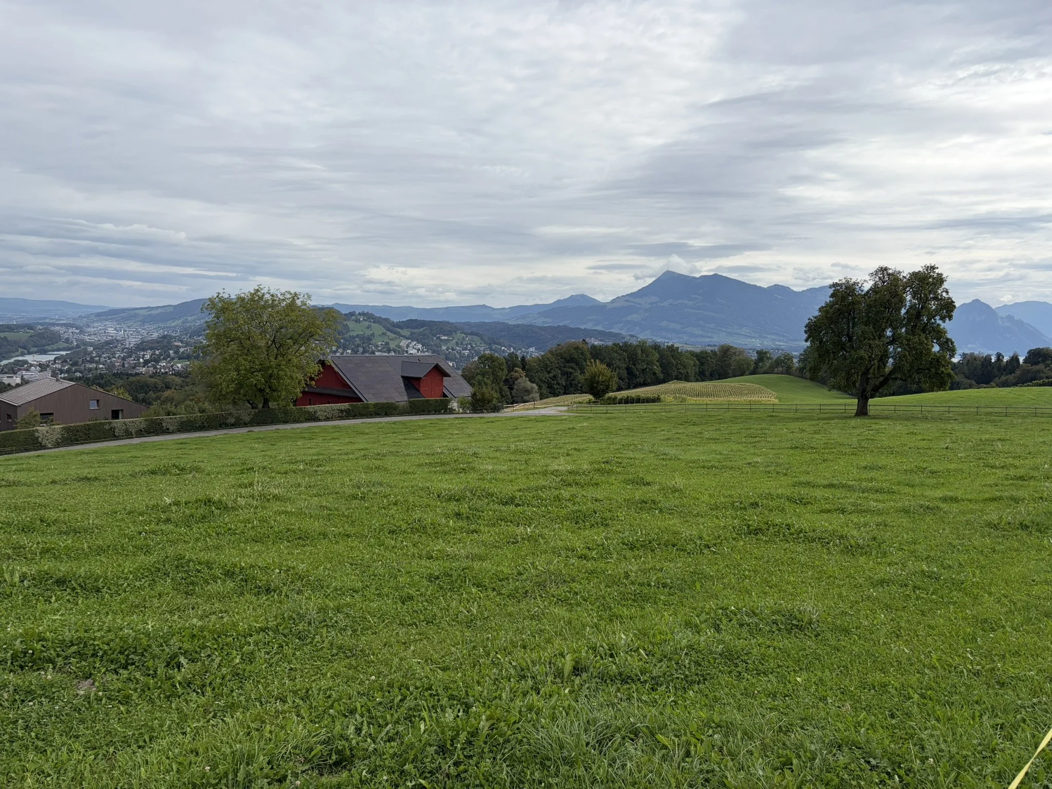 0BC1C97B-E2A6-47E1-A4F0-596F6A7BE263_1_102_o.jpeg