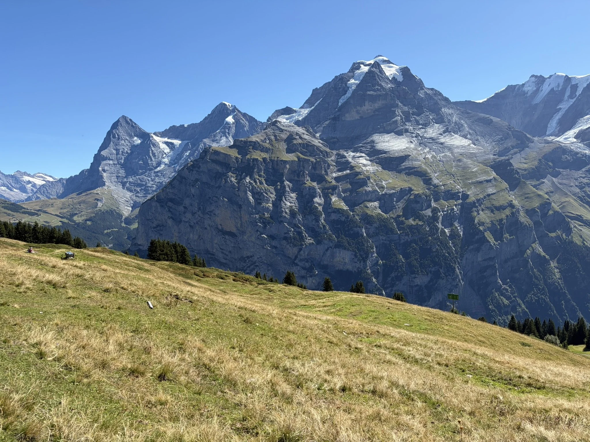 C2343A83-3A9E-442D-A335-2F915F0E674A_1_102_o.jpeg