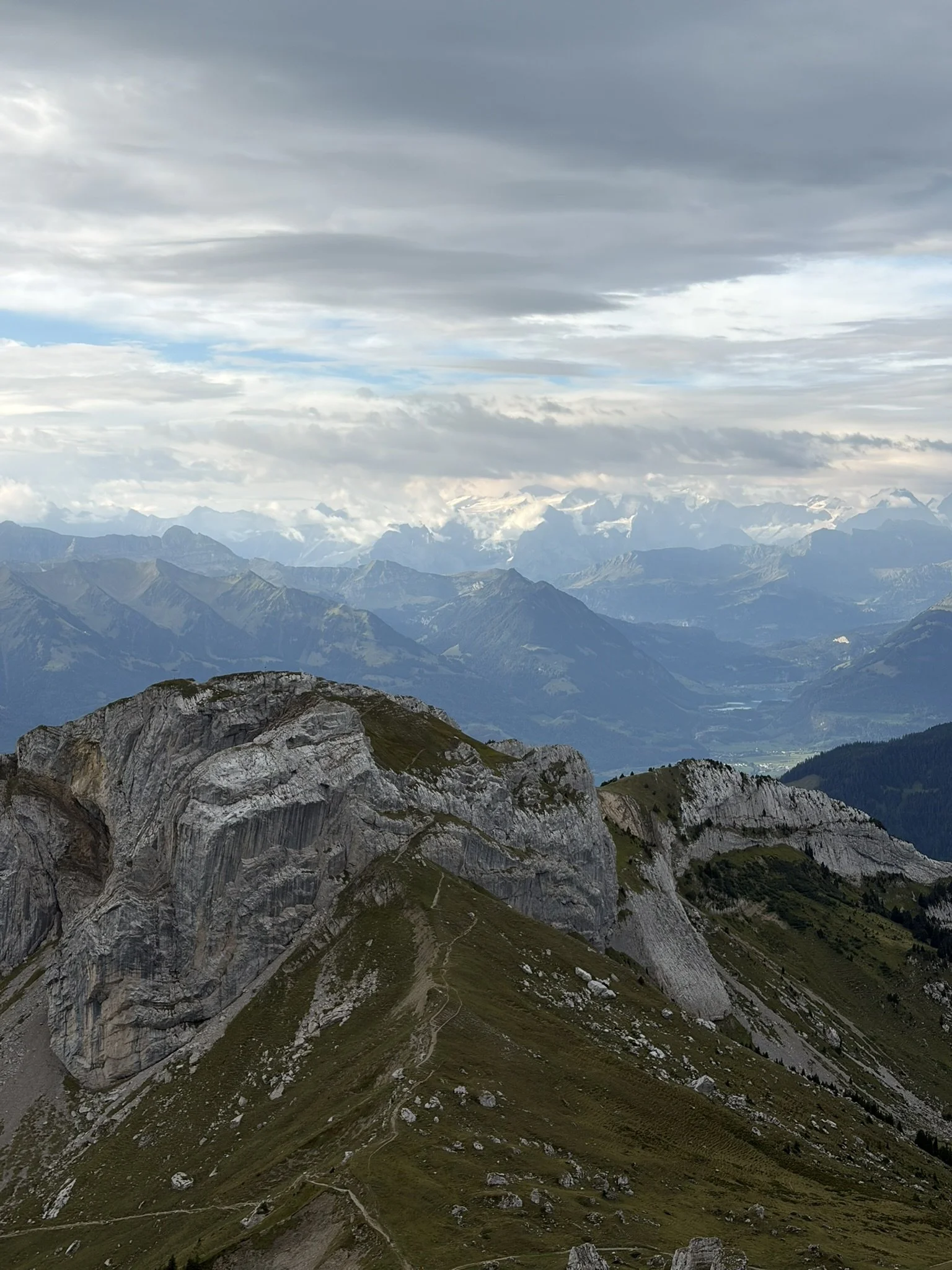 8D562A61-A9AC-4673-A61B-43D426032143_1_102_o.jpeg