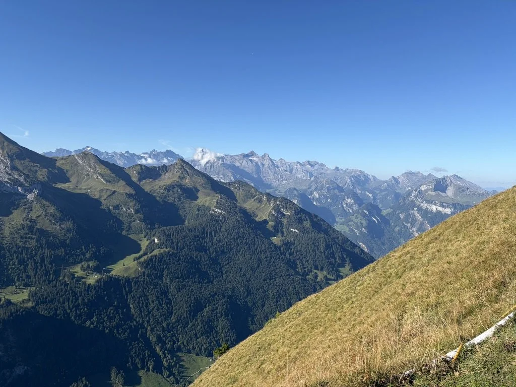432C26D1-B094-4F34-A713-F7EE489238B5_1_105_c.jpeg