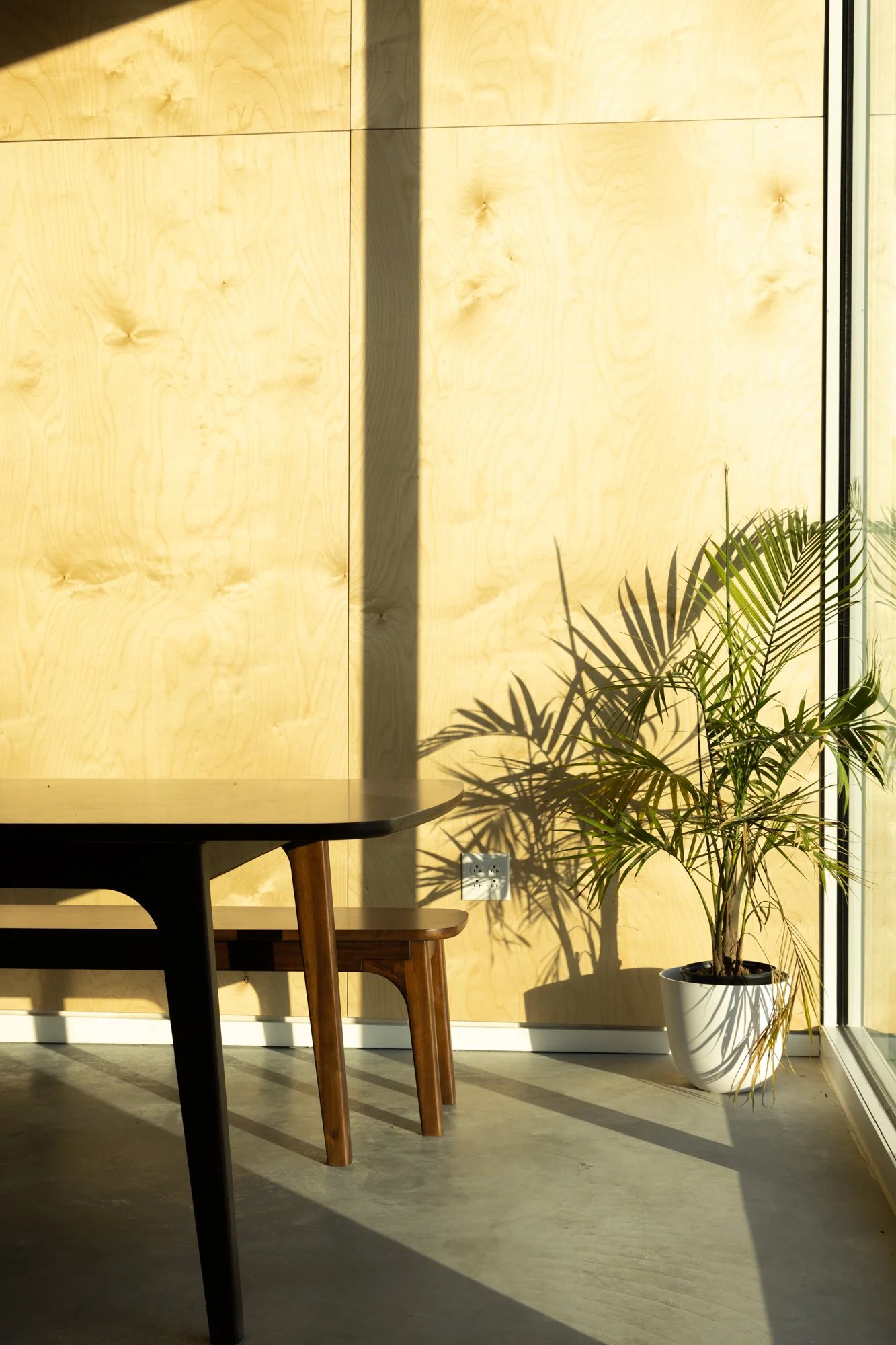 Sunlight casts shadows of a potted palm plant and a wooden chair on a yellow wooden wall next to a large glass window.