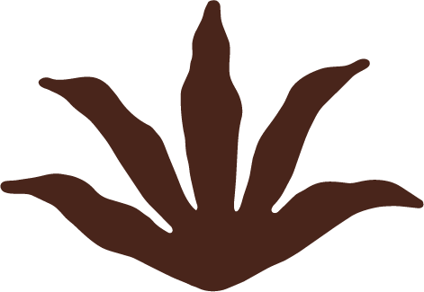 Silhouette of a stylized plant with six elongated leaves arranged symmetrically.