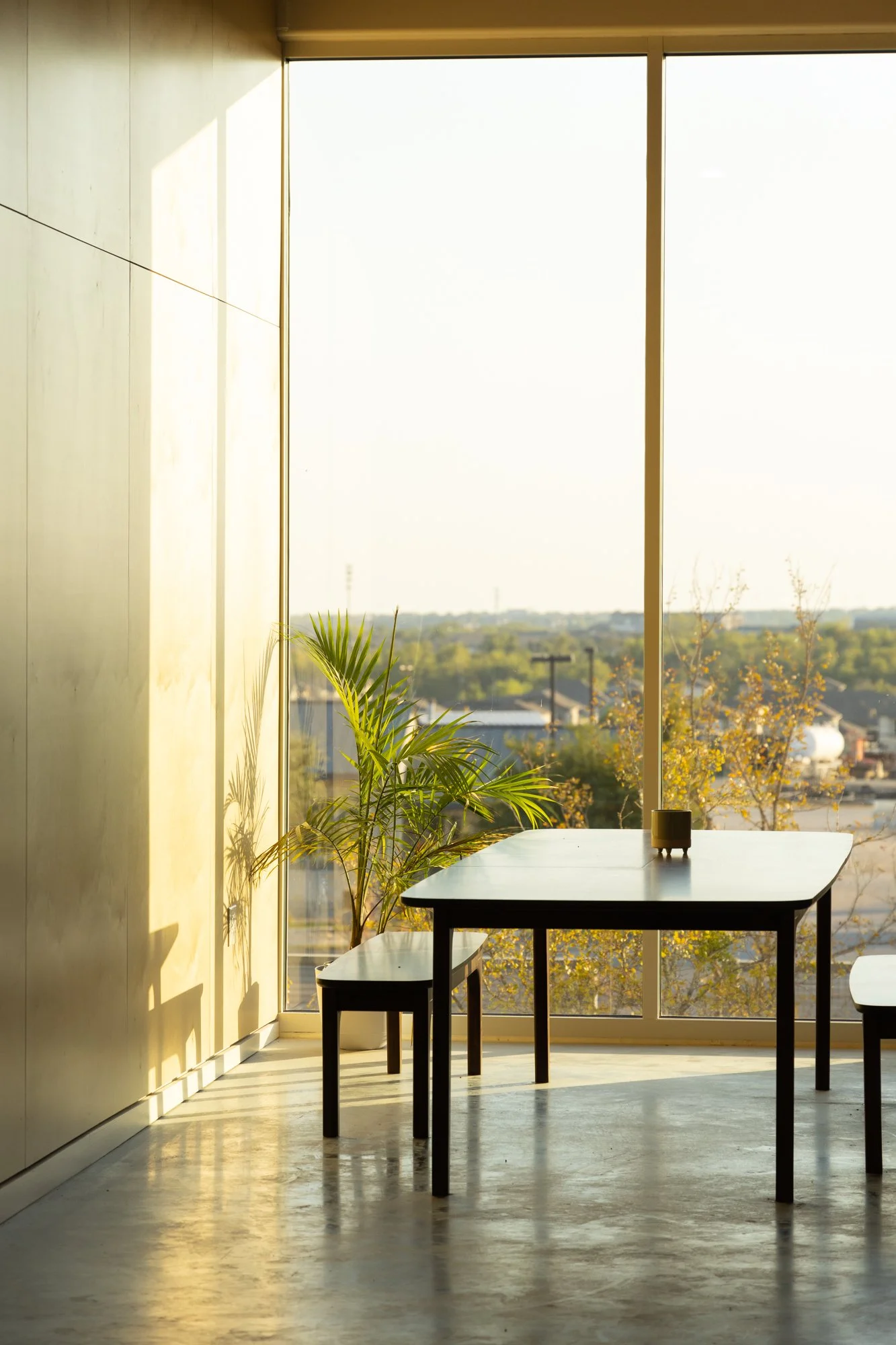 Sunlit room with large window, a wooden table, a bench, and a green plant near the window overlooking a cityscape.