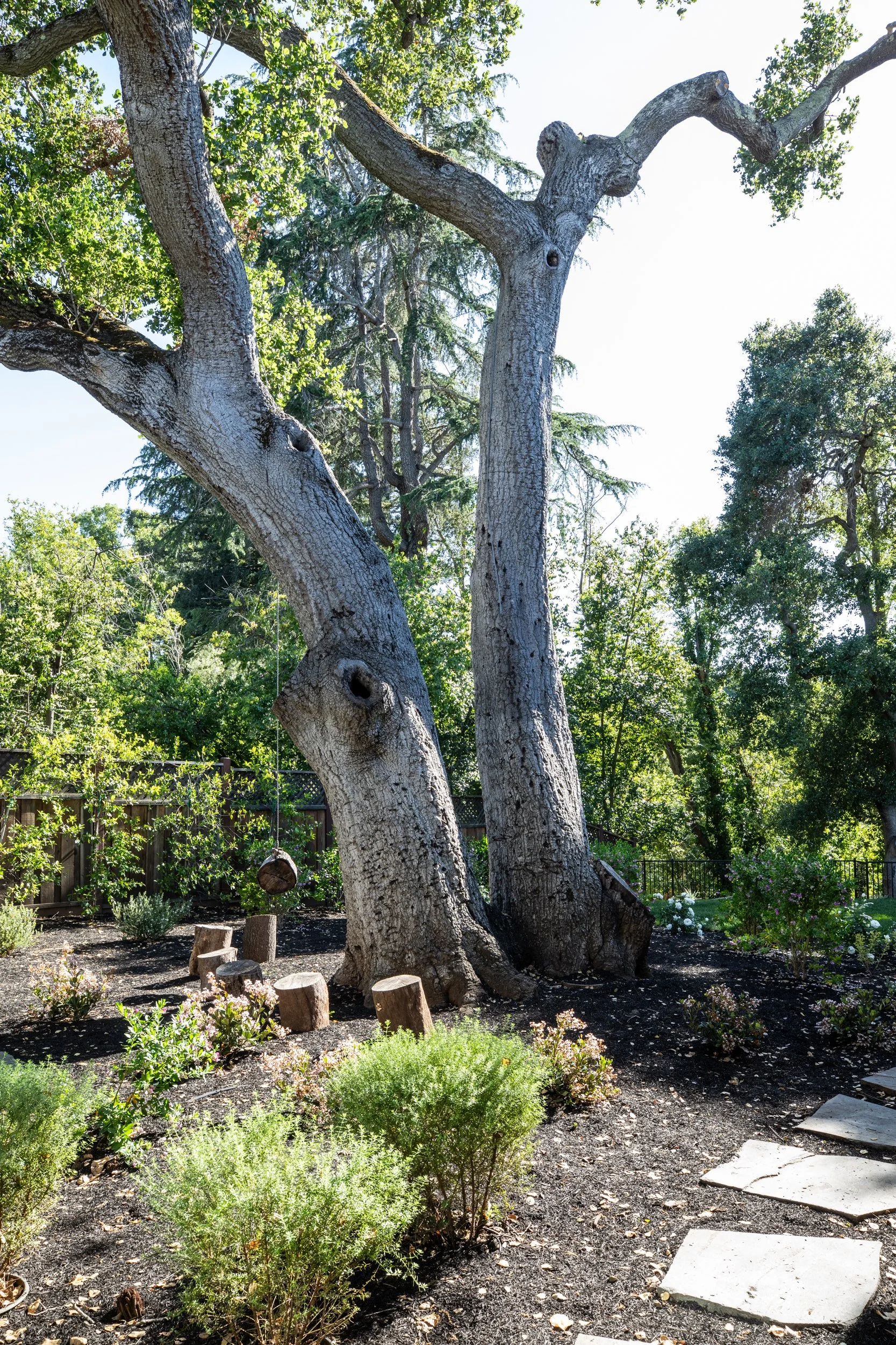 Photo by Matt Anello