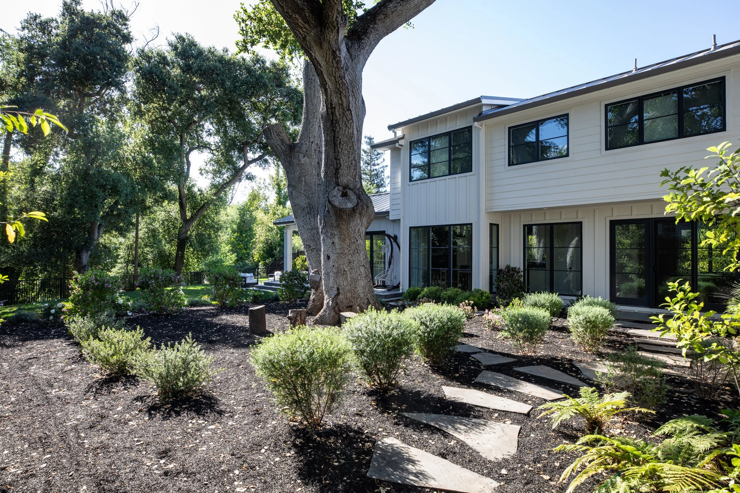 Photo by Matt Anello