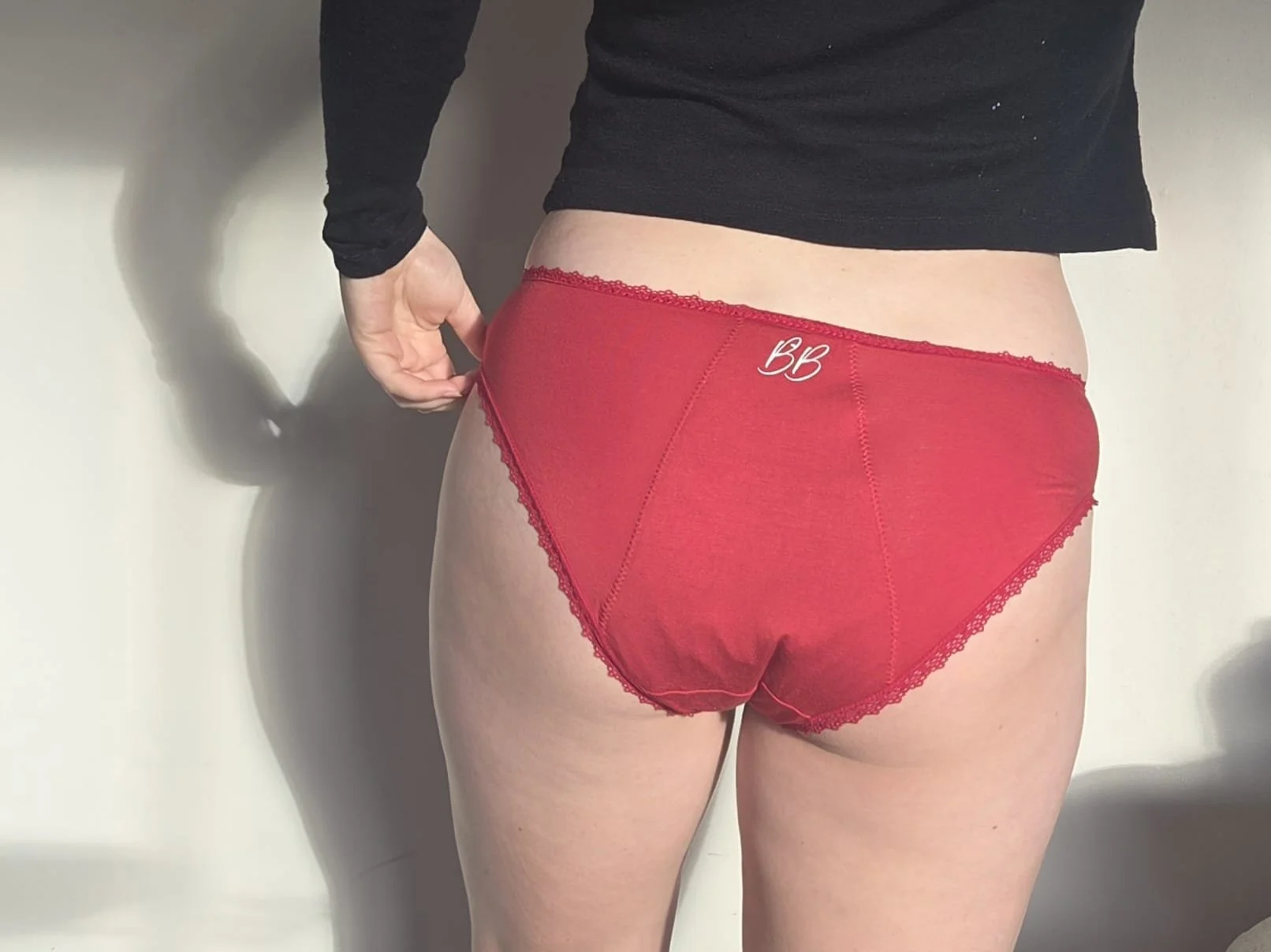 Lace Hipster (back).jpeg
