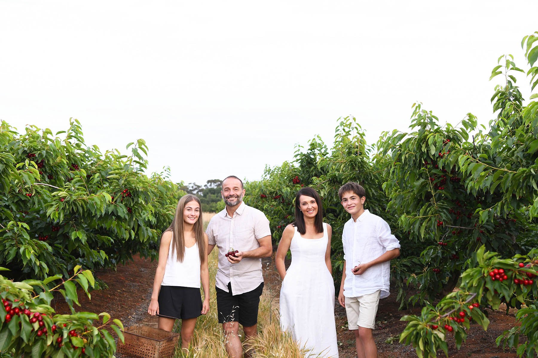 Family of five walking through a cherry orchard, smiling and dressed in white, with ripe cherries on the trees.