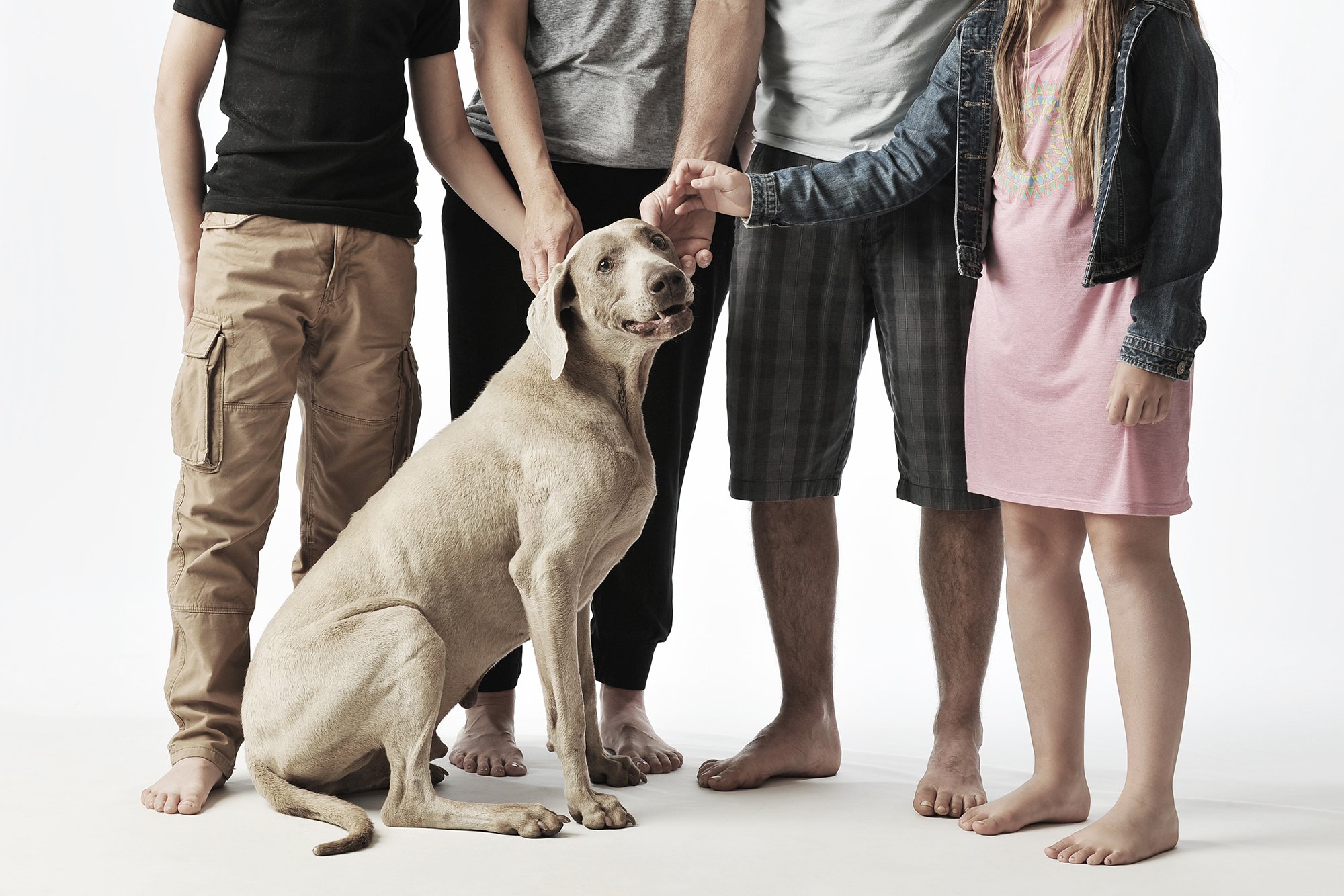 Four people and a puppy standing barefoot on a white background, with only their lower bodies visible. The puppy is sitting on the floor.