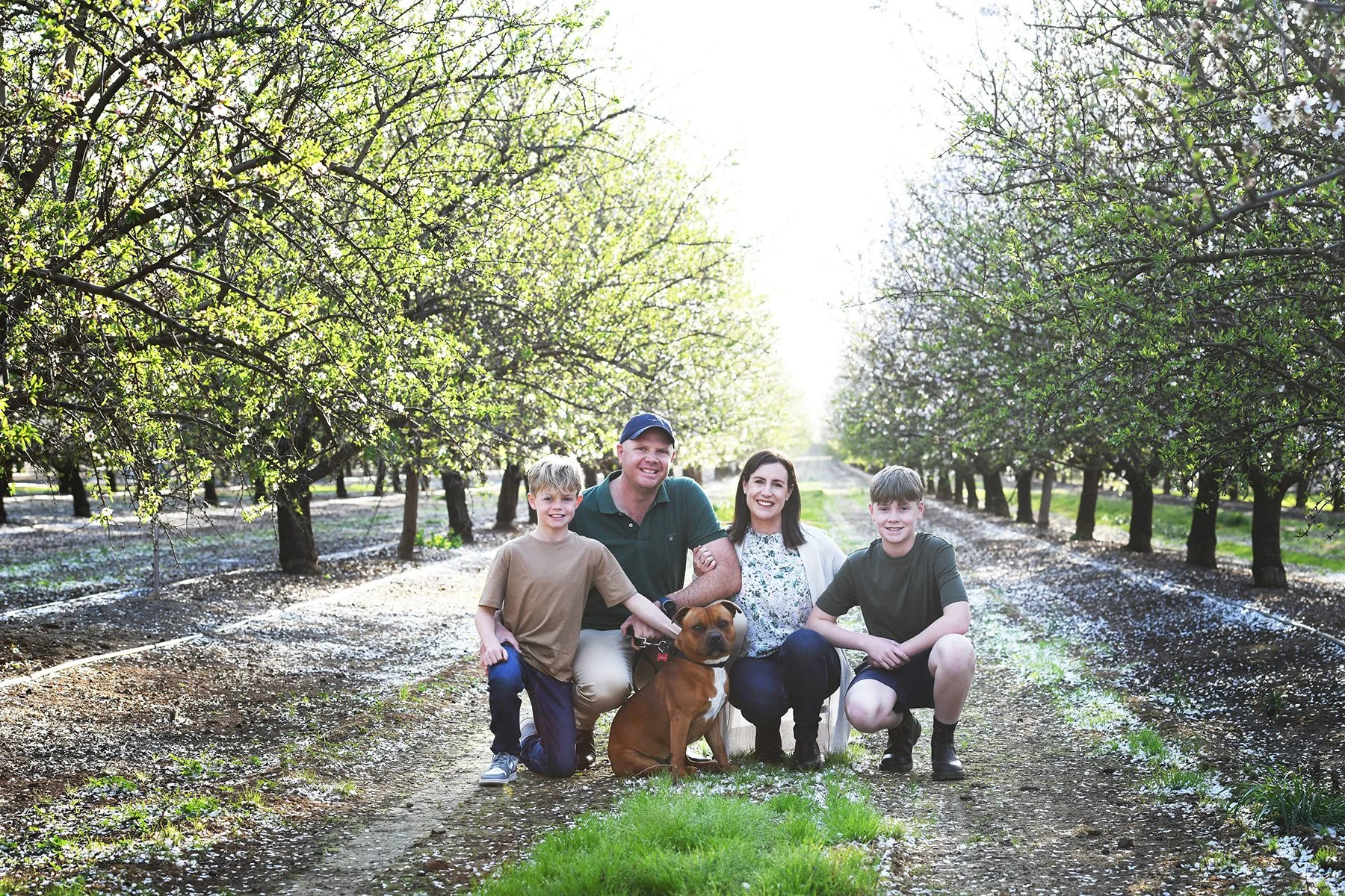 A family of four and a dog sitting in an orchard with blooming trees and sunlight filtering through.