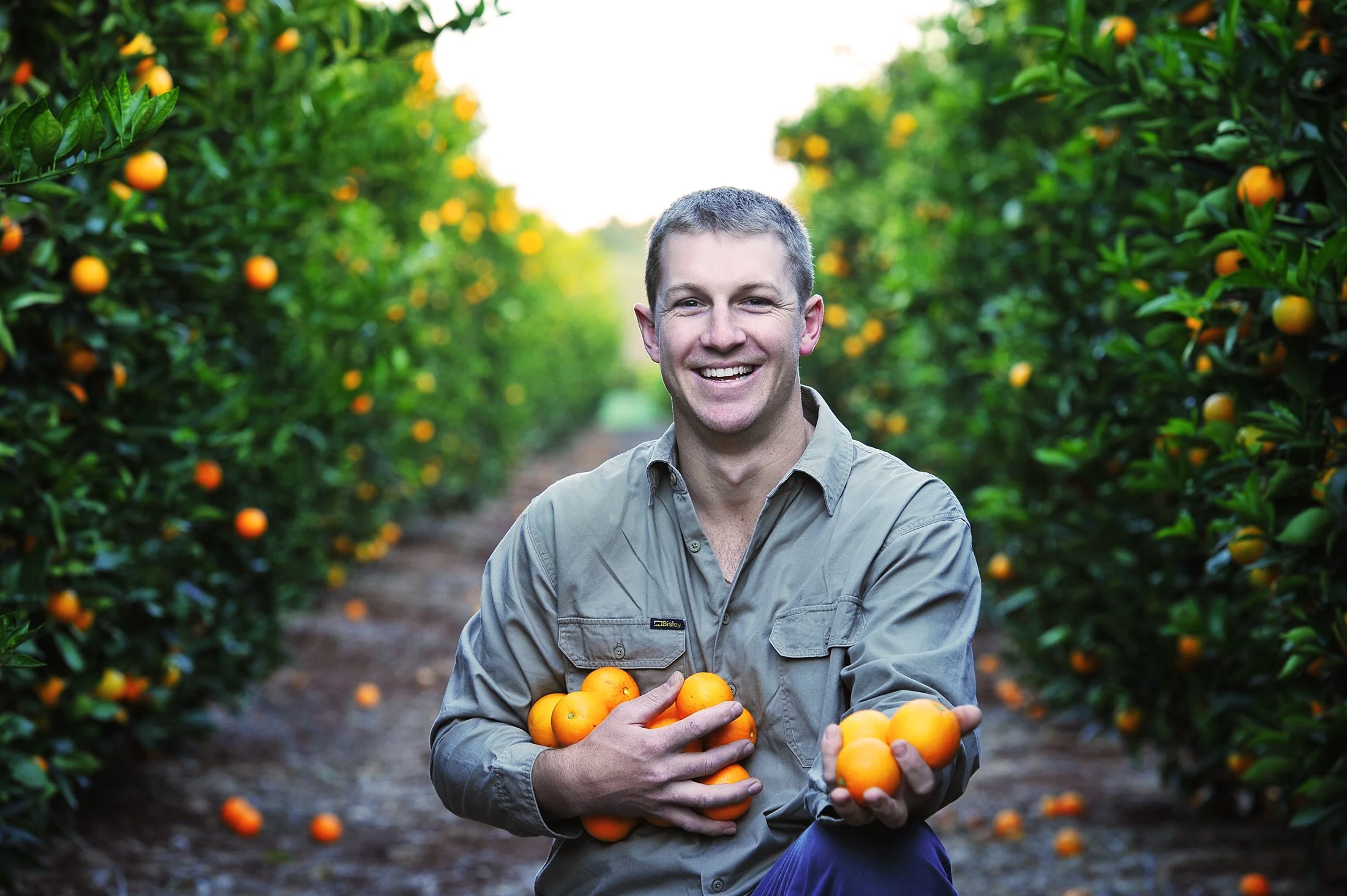 A man smiling and holding a basket of oranges in an orange grove.