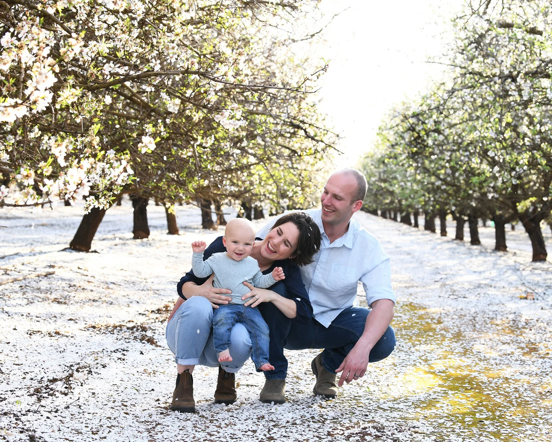 A family of three, parents and young child, sitting on the ground amid blooming trees with white flowers, during daytime.