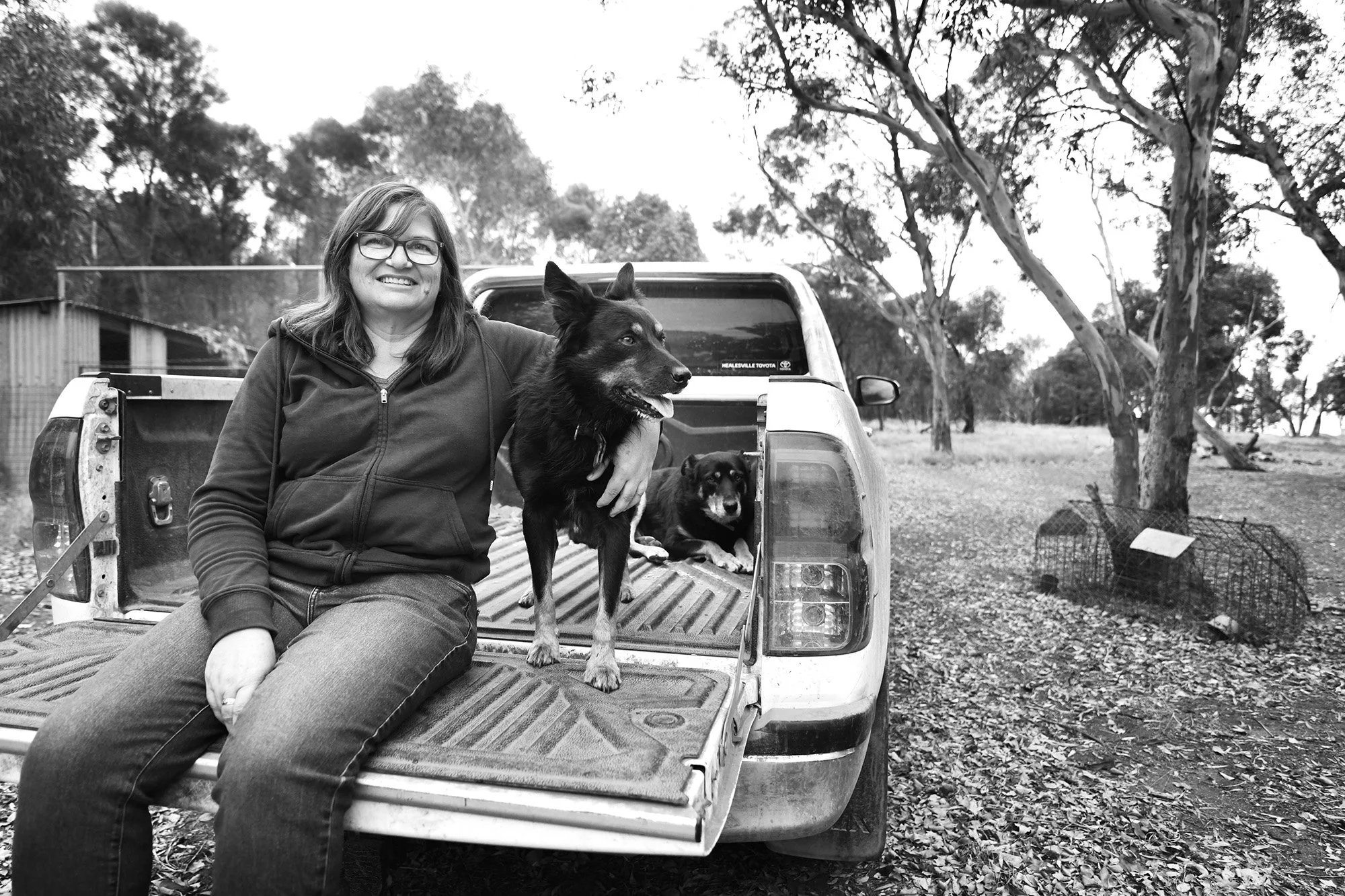 A woman wearing glasses and a hoodie sitting in the back of a pickup truck with two dogs, one standing and one sitting, in a wooded outdoor area with trees and a rustic building in the background.
