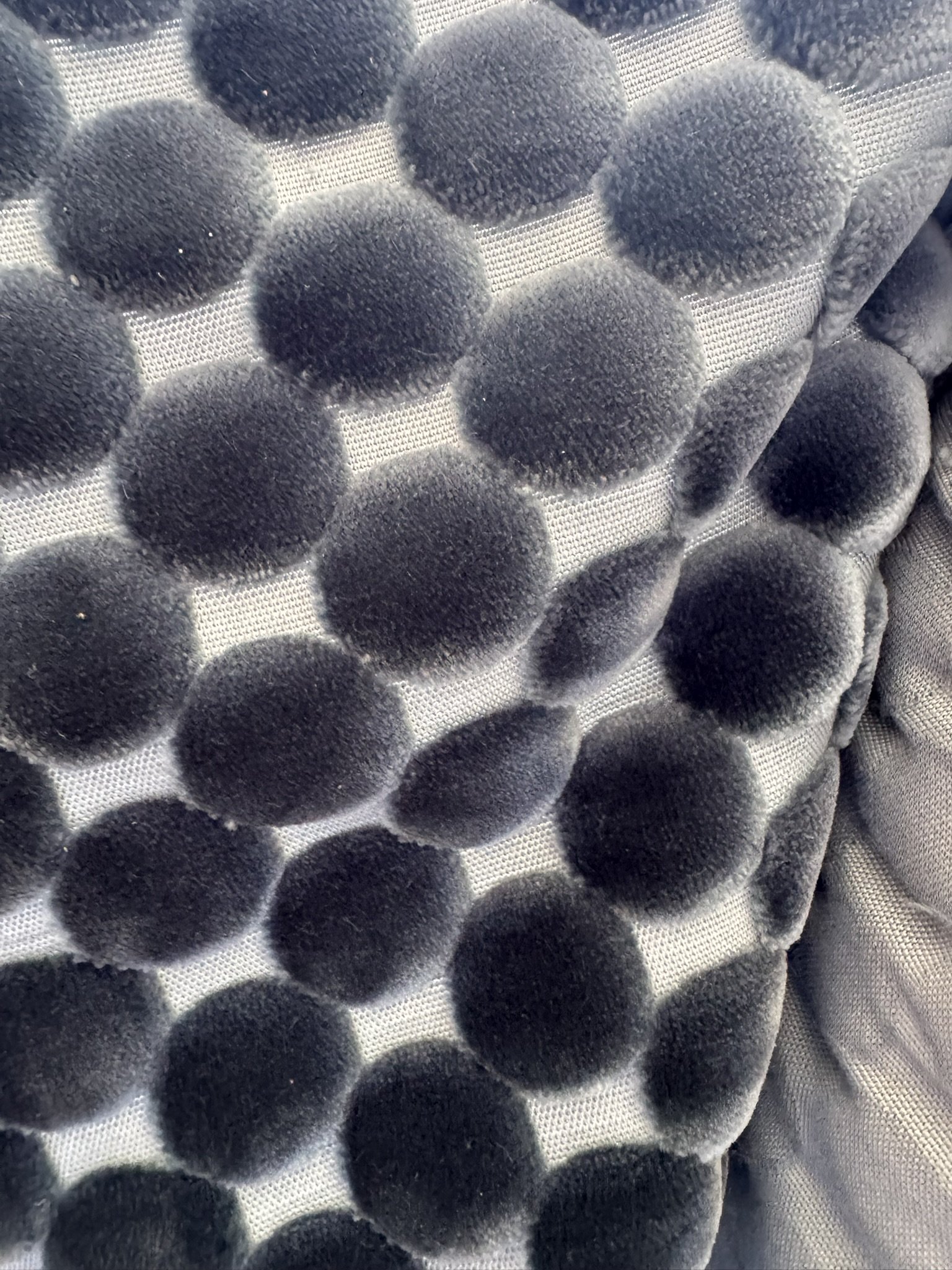 Kravet Geometric Circles Cut Velvet Fabric