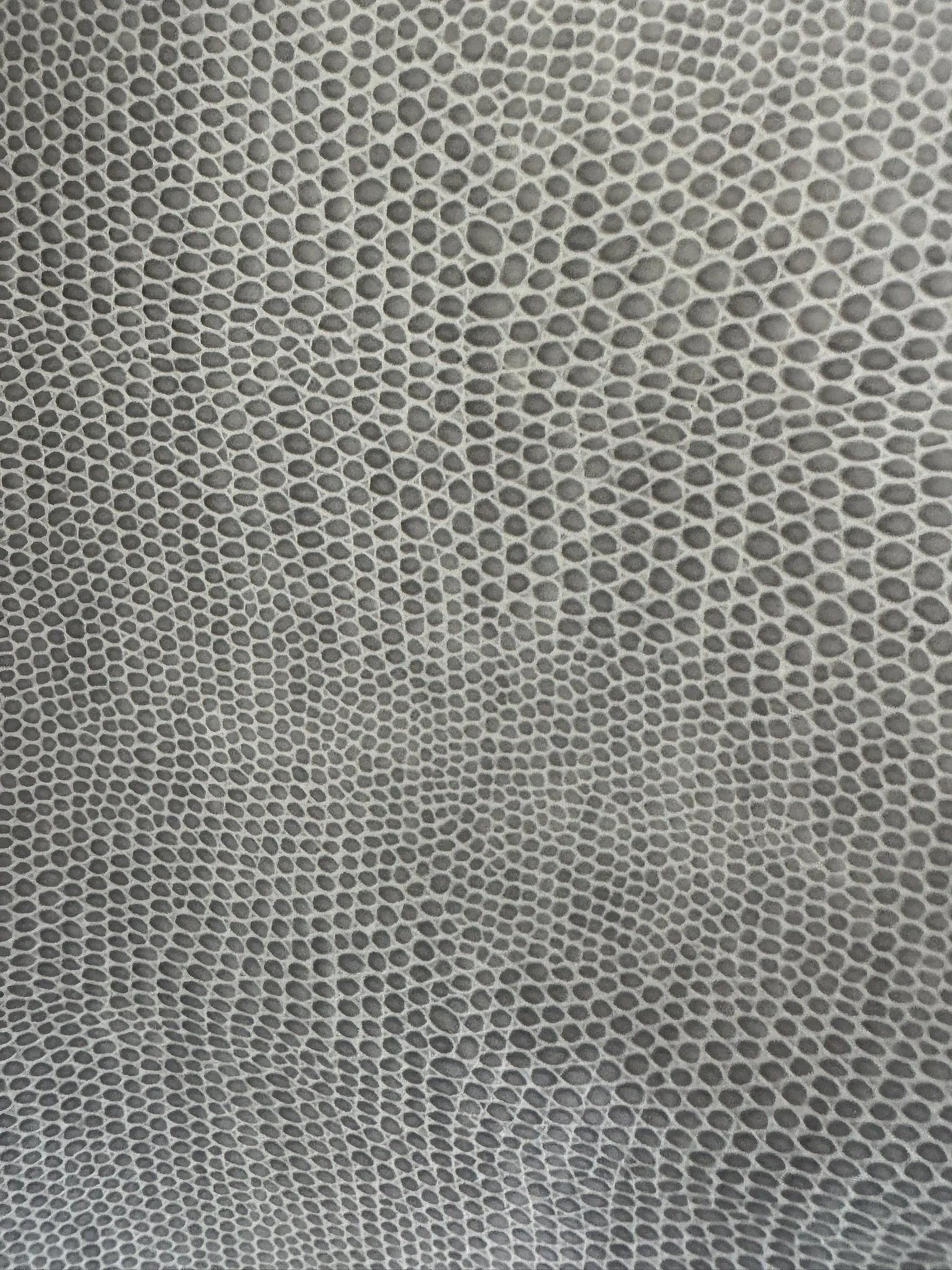 Grey Animal Vinyl
