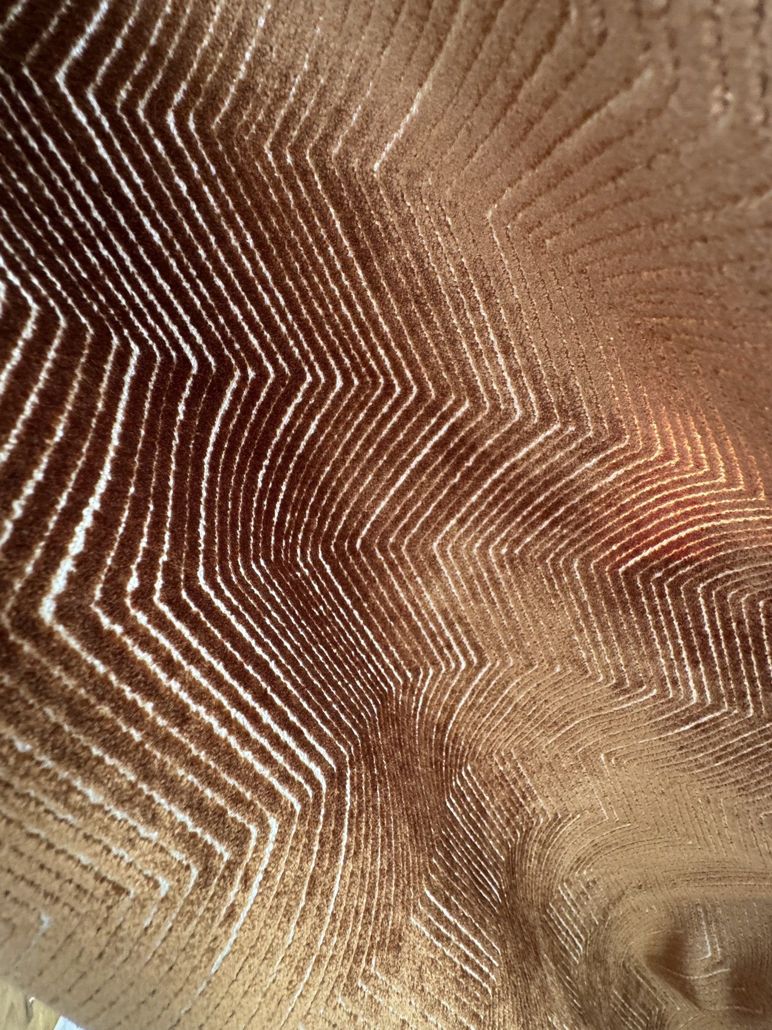 Rust Chevron Cut Velvet