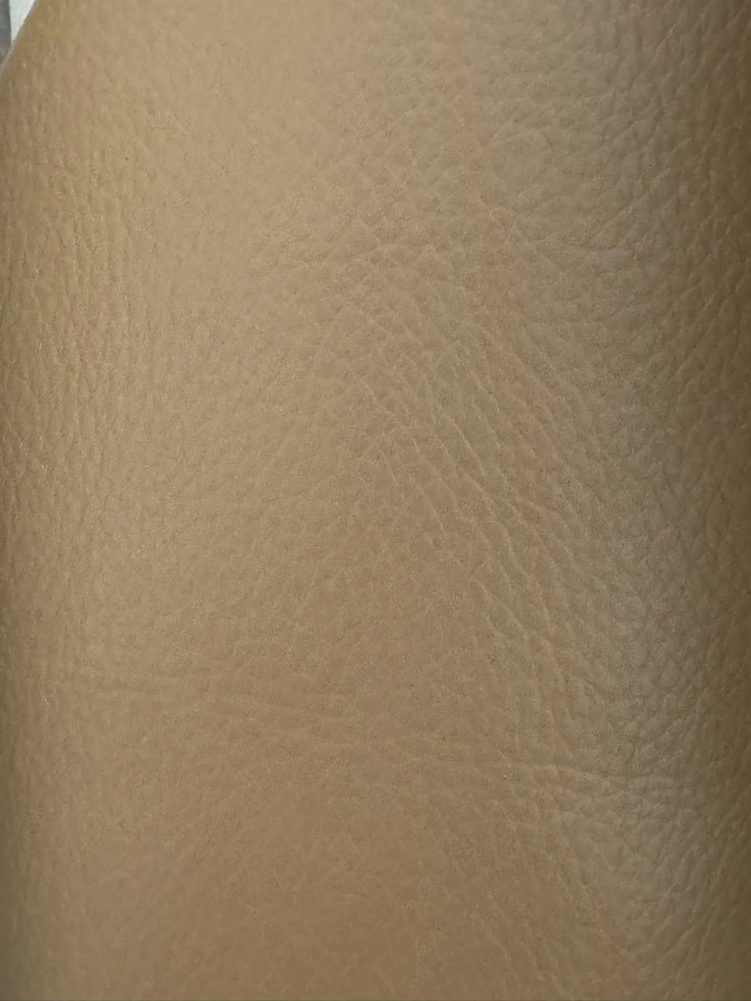 C498250A-00D1-4135-9D8E-1404C3479D71_1_102_o.jpeg