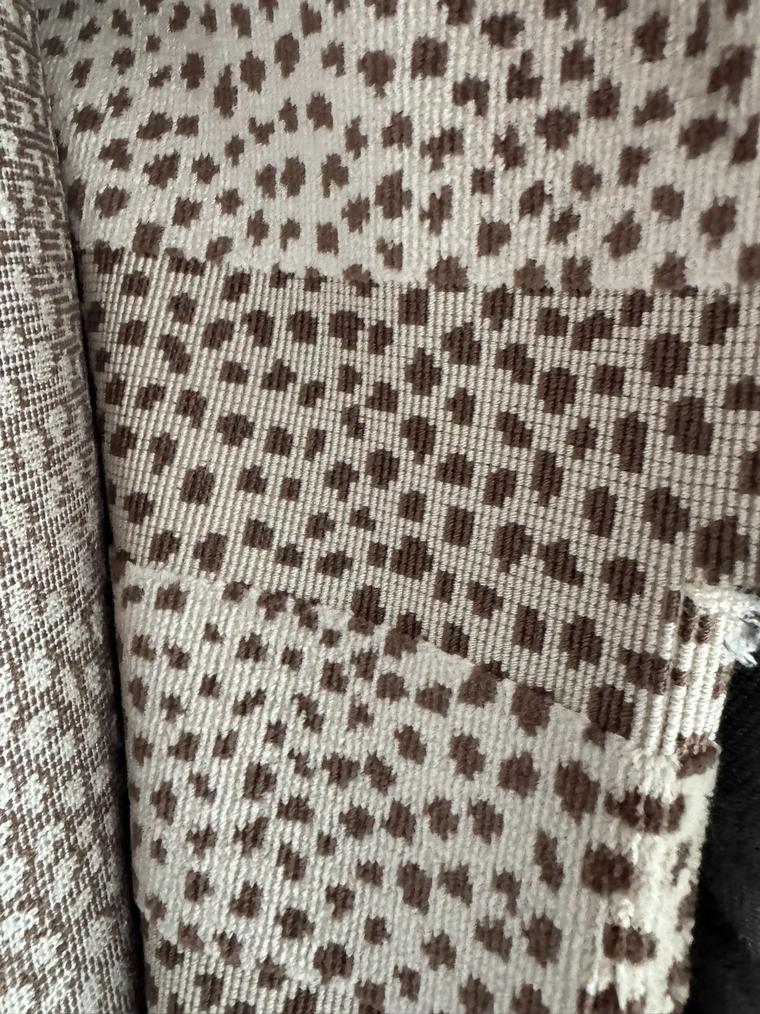 Colefax and Fowler Clarence Animal in Stone