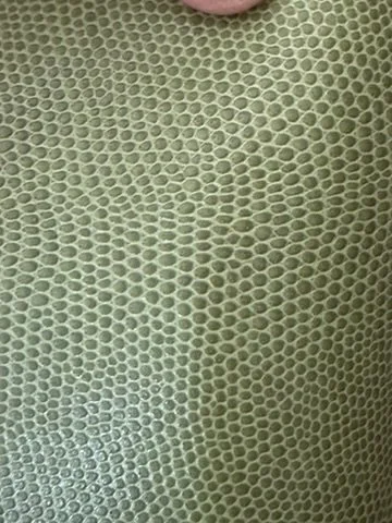 30DCE133-801E-47D7-A422-CEAA65945B86_4_5005_c.jpeg