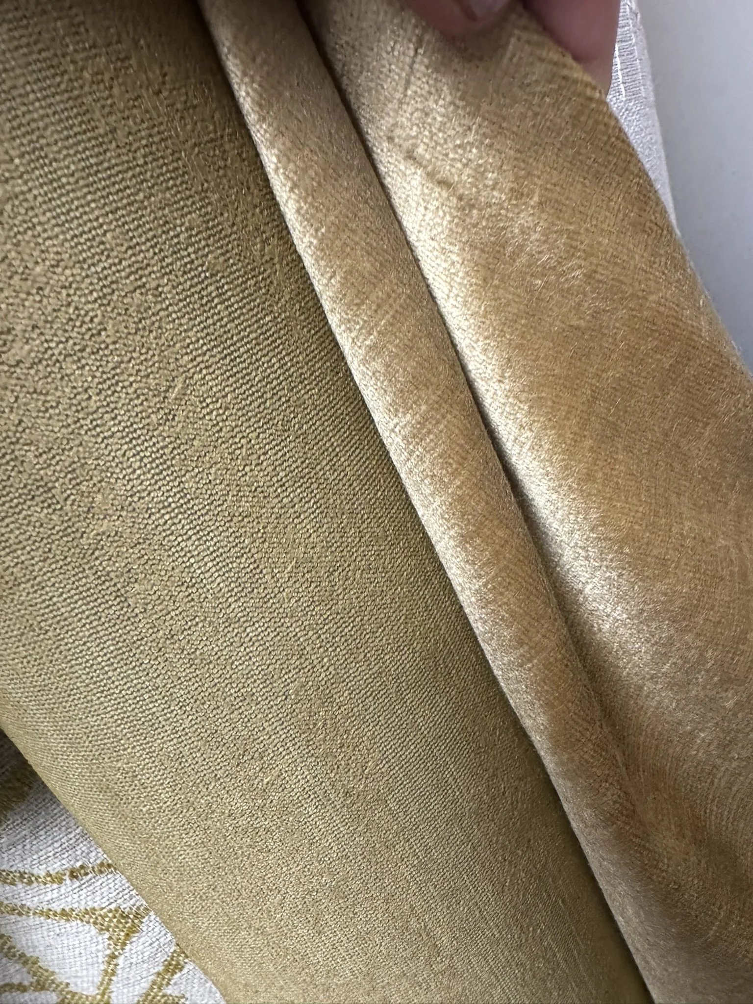 Goldy Low Pile Velvetlike Textile 5 yards