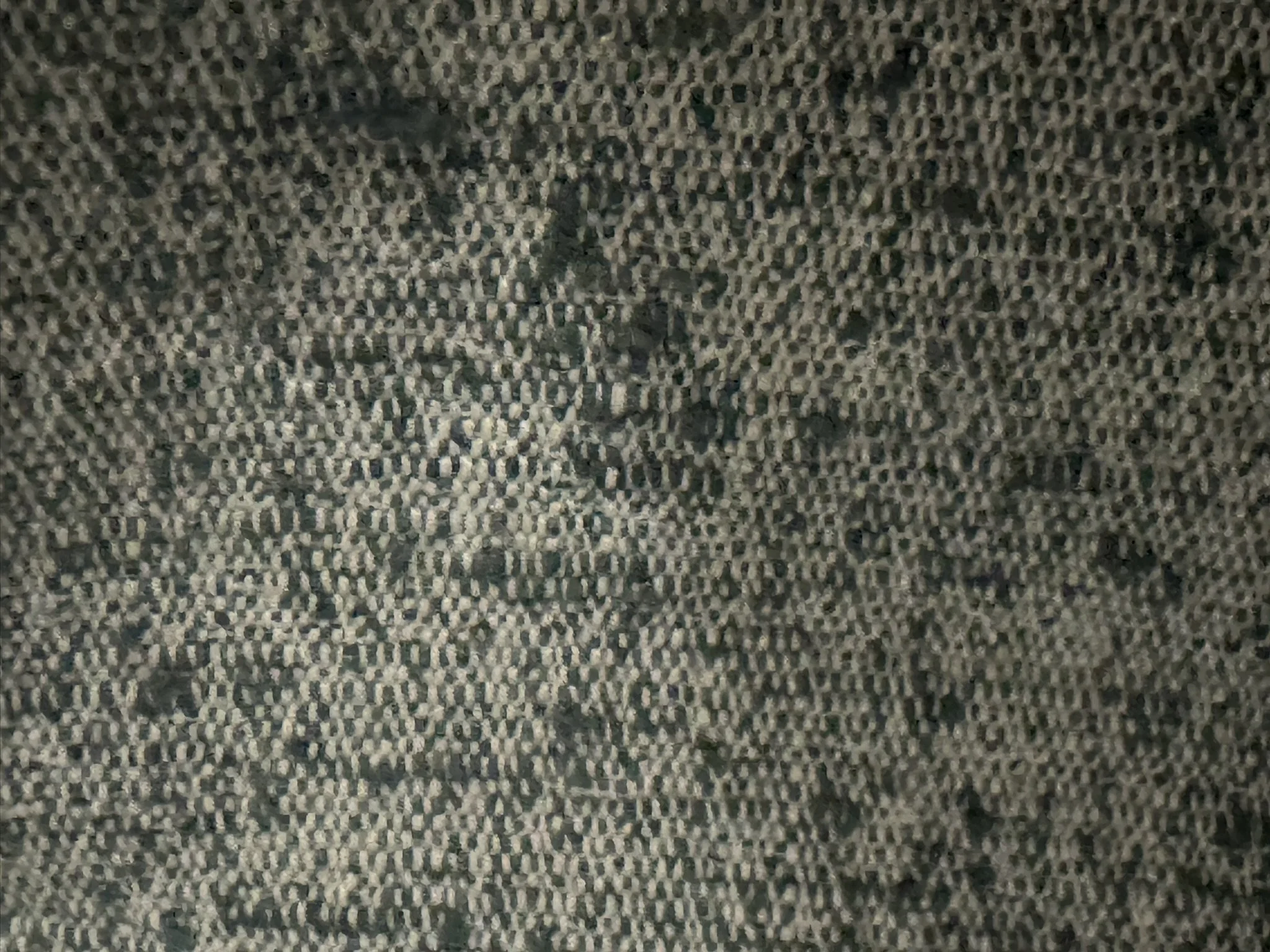 Teal Light Coverage Boucle