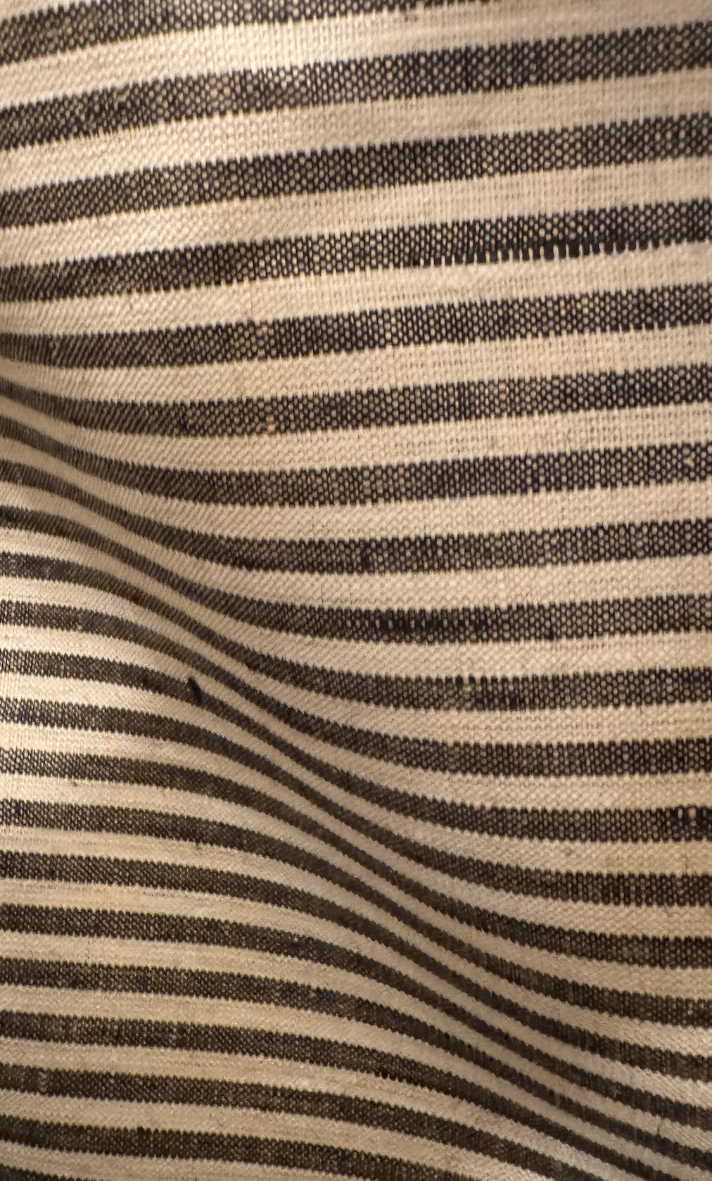 Tan and Black Ticking Stripe