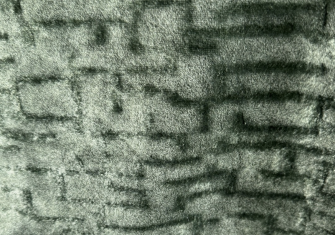 Dark Green Patterned Velvet