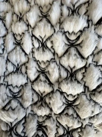 DBC87051-4EE9-428C-AB38-AD201E233DAF_4_5005_c.jpeg