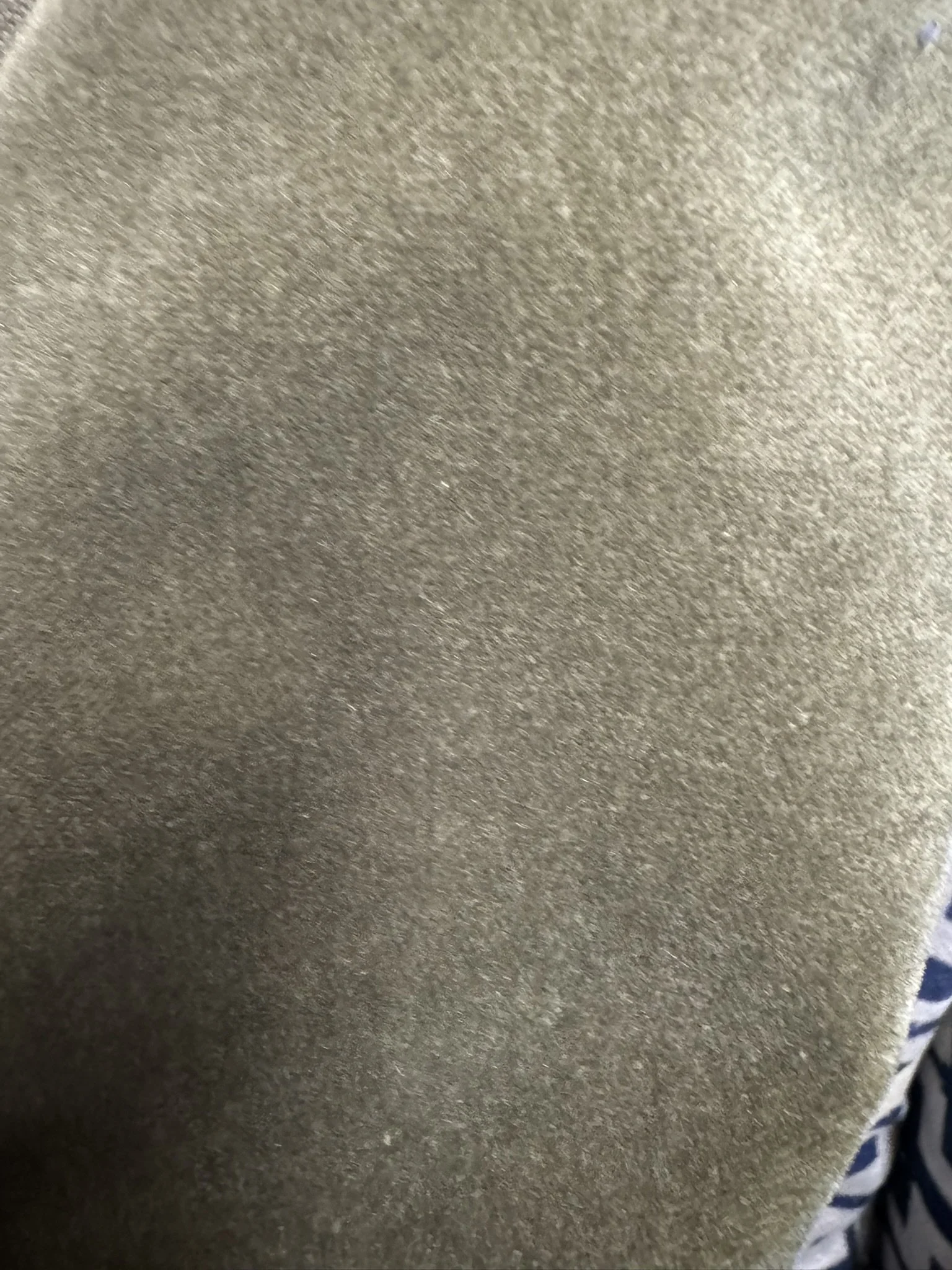 Olive Green Velvet  5 yards