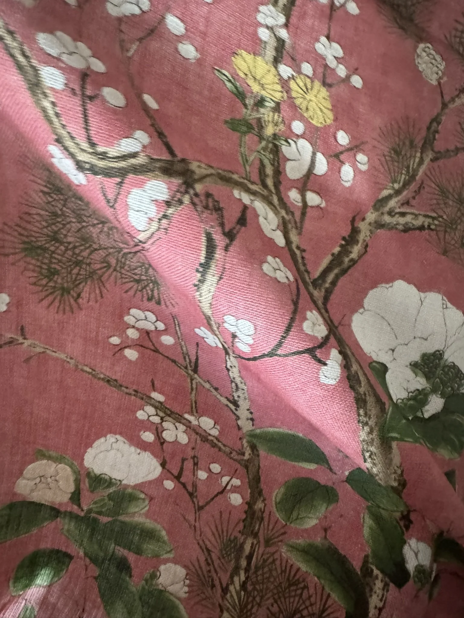 Thibaut Katsura Coral