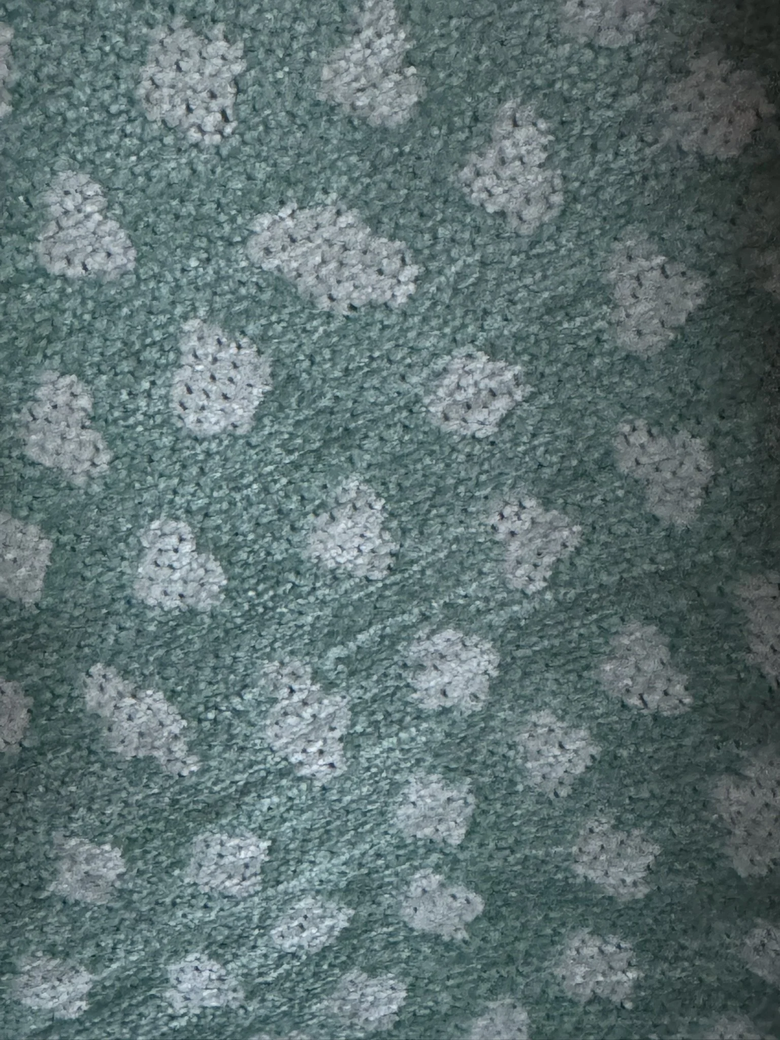 Jane Shelton Mitzi Aqua